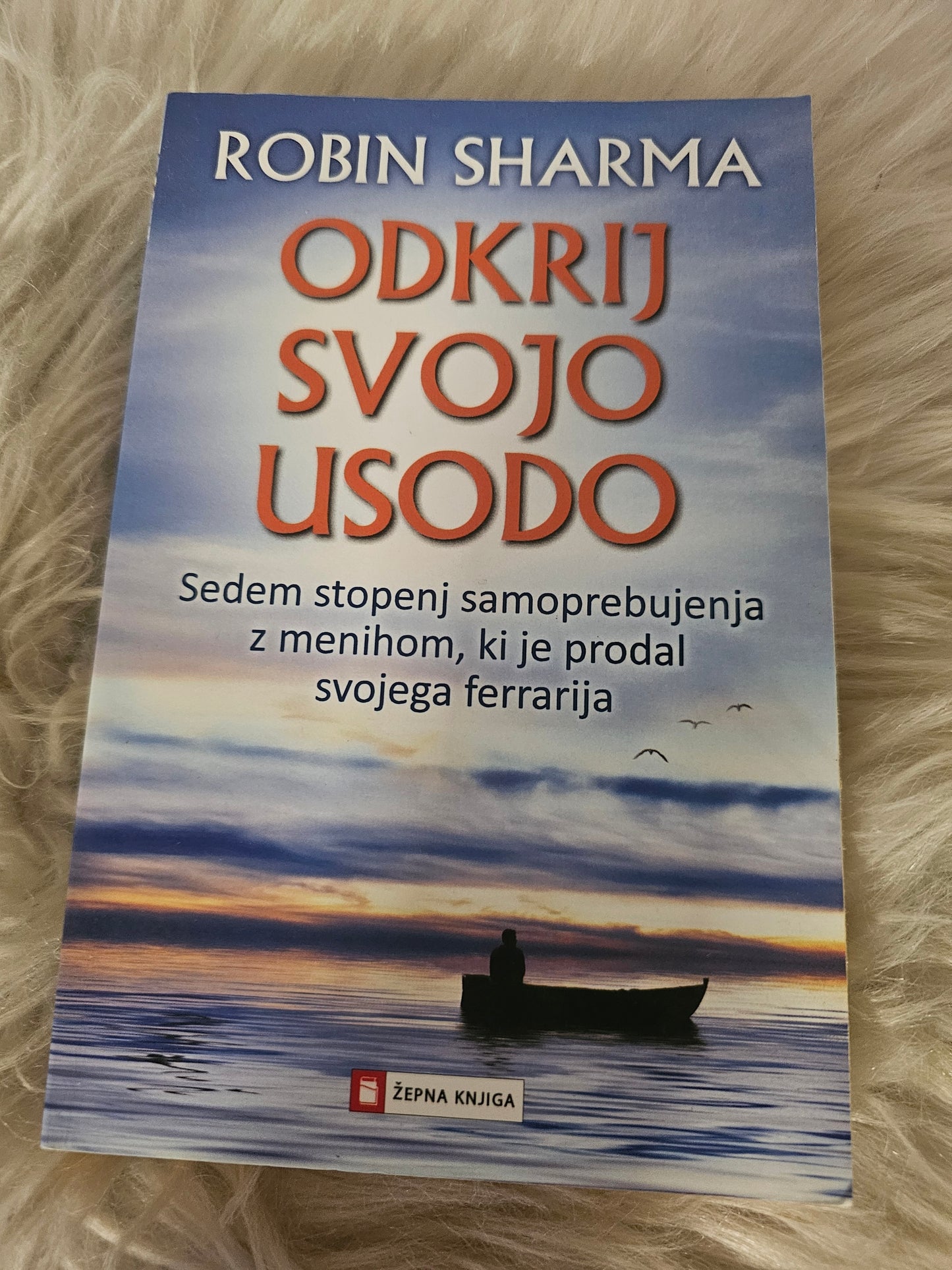 Odkrij svojo usodo, Robin Sharma
