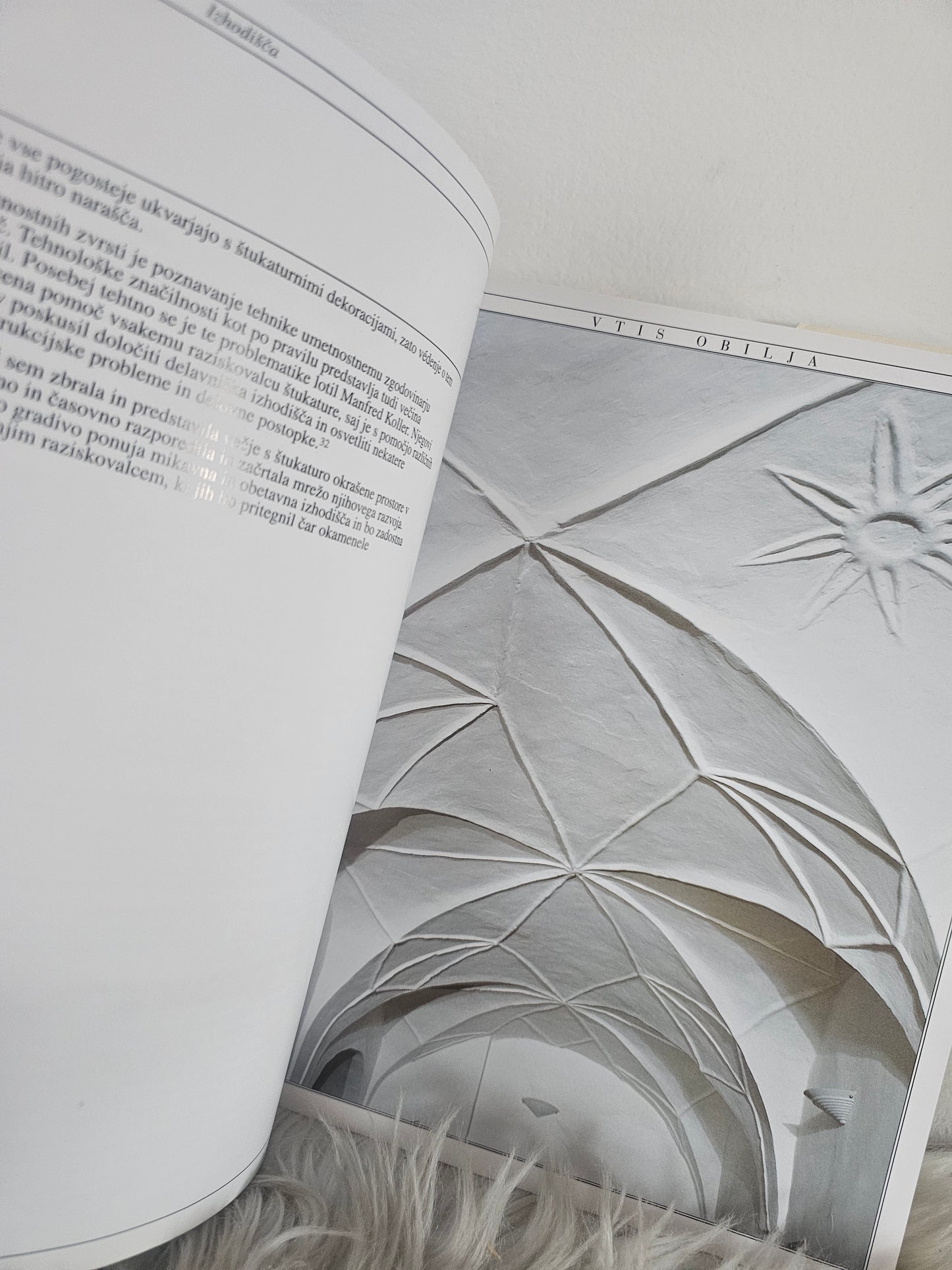 Vtis obilja Štukatura 17.stoletja v Sloveniji Barbara Jaki Mozetič