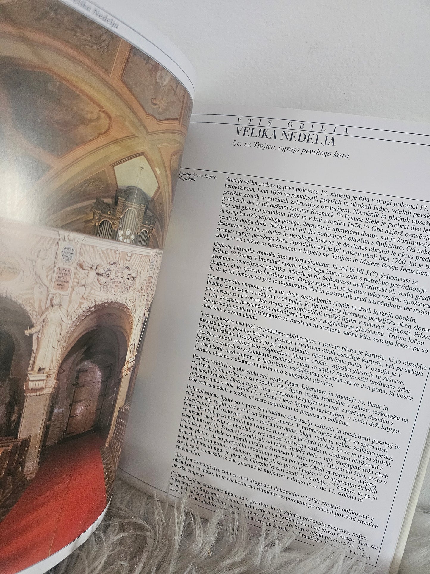 Vtis obilja Štukatura 17.stoletja v Sloveniji Barbara Jaki Mozetič