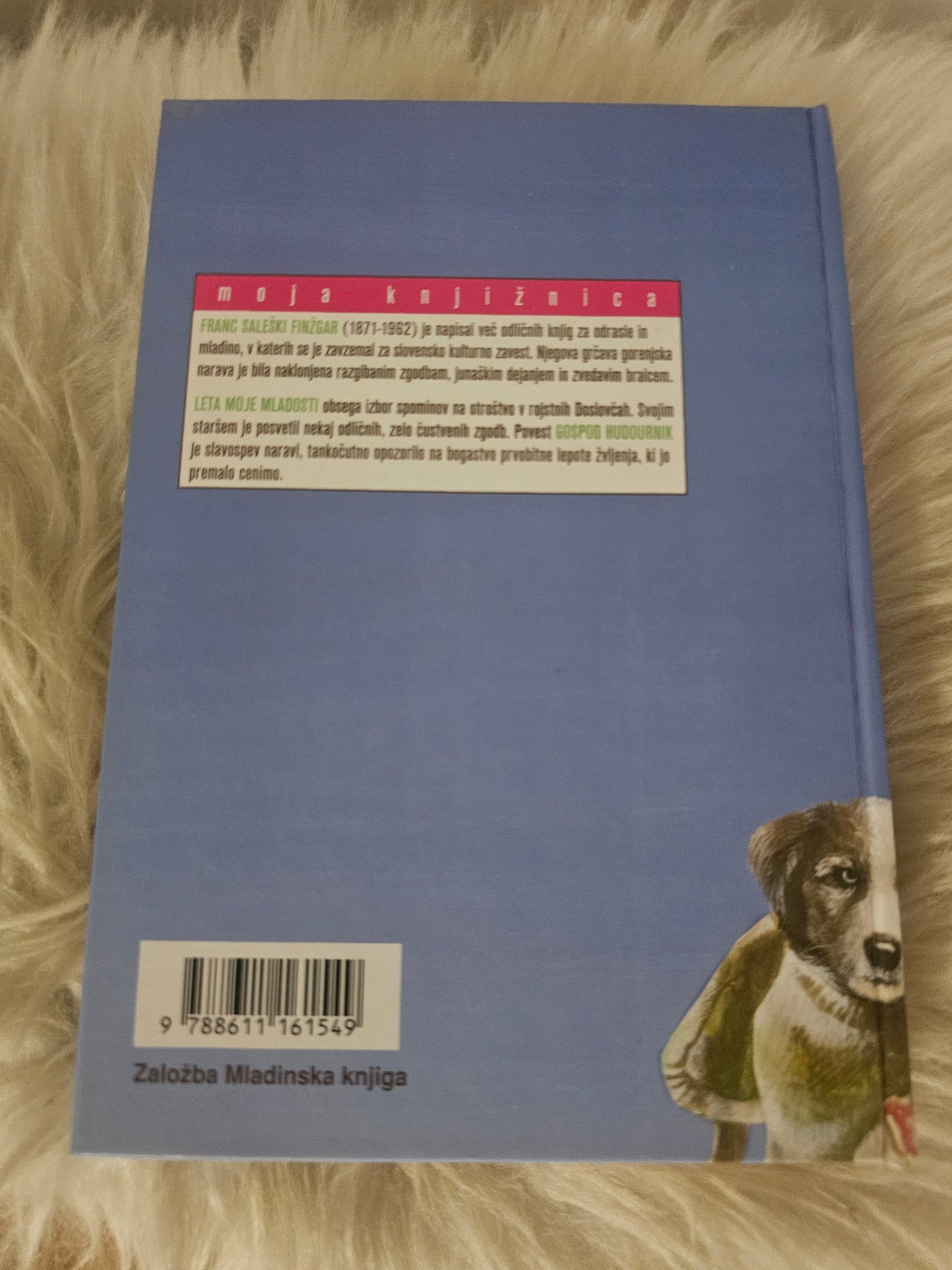 Leta moje mladosti, Gospod hudournik Franc Seliški Finžgar