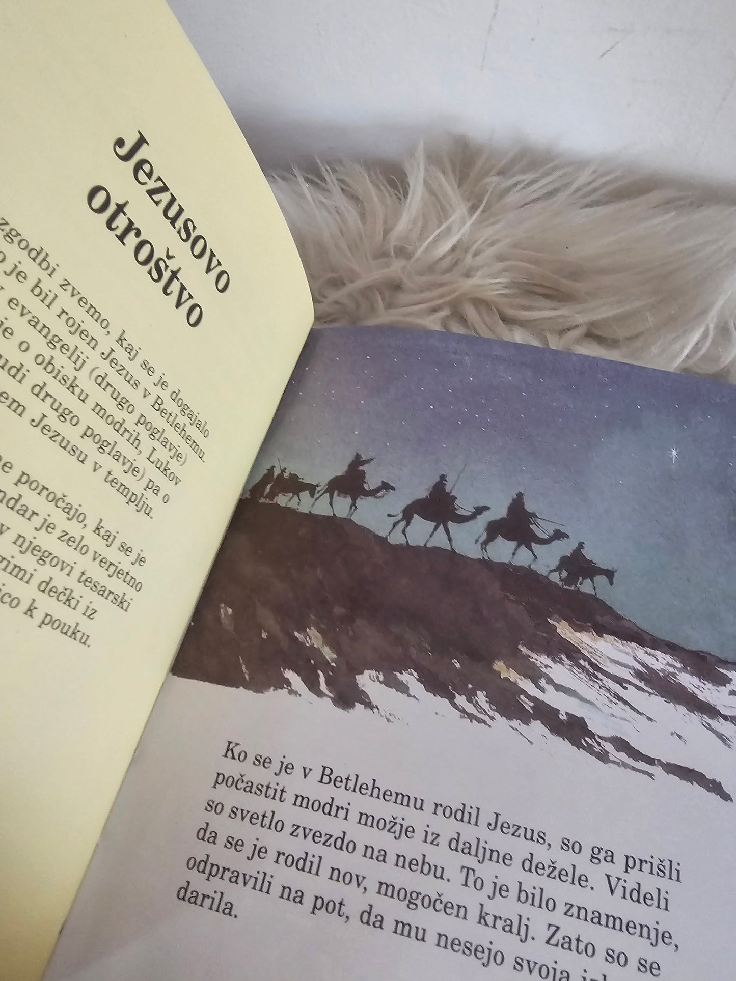 Sveto pismo za otroke Penny Frank