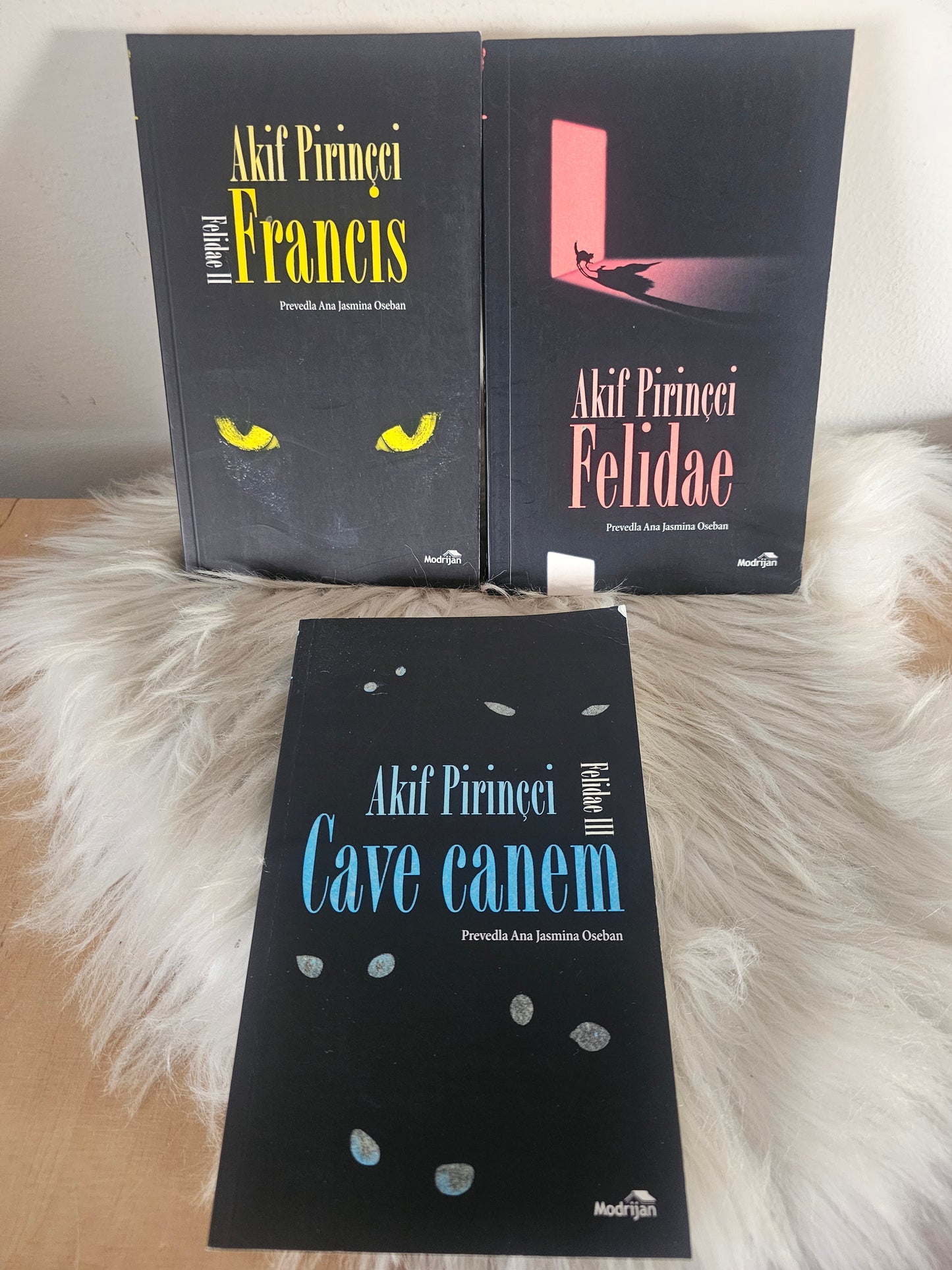 Felidae, Francis, Cave Canem Akif Pirincci
