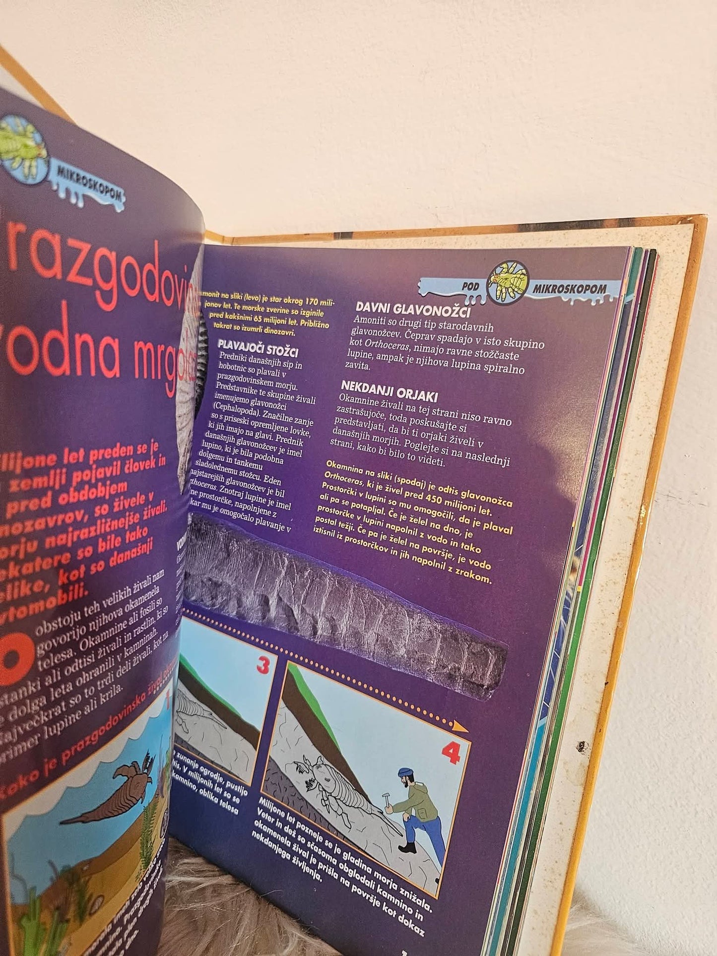Mrgolazen set revij