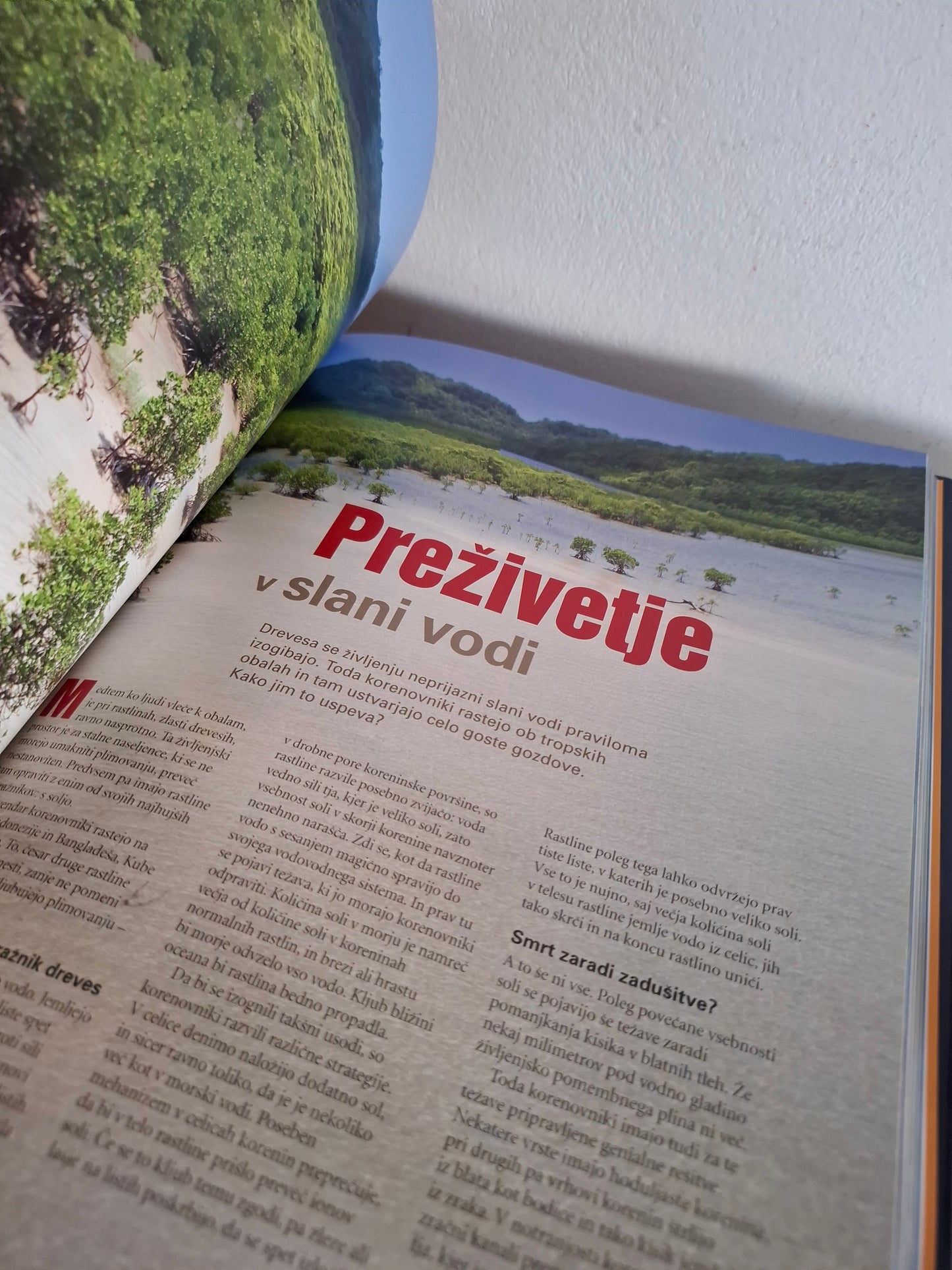 Nenavadni pojavi, uganke in dejstva Readers Digest