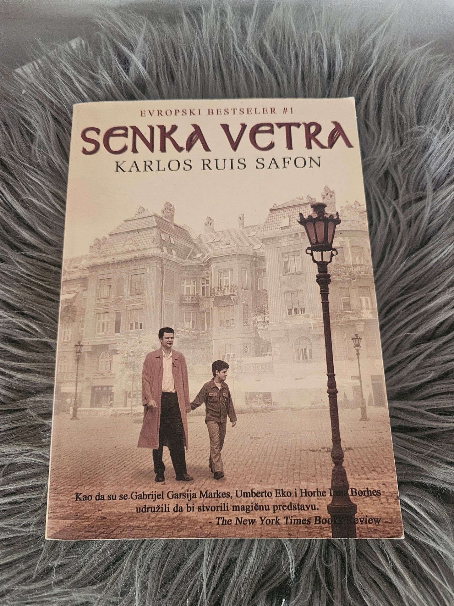 Senka vetra,    Marina  Karlos Ruis Safon