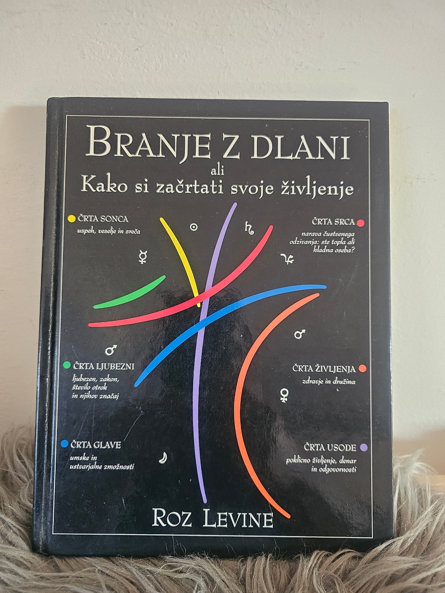 Branje z dlani ali Kako si začrtati svoje življenje? Roz Levine