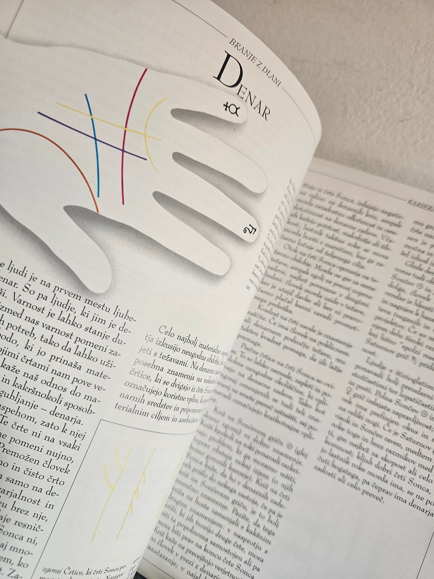 Branje z dlani ali Kako si začrtati svoje življenje? Roz Levine