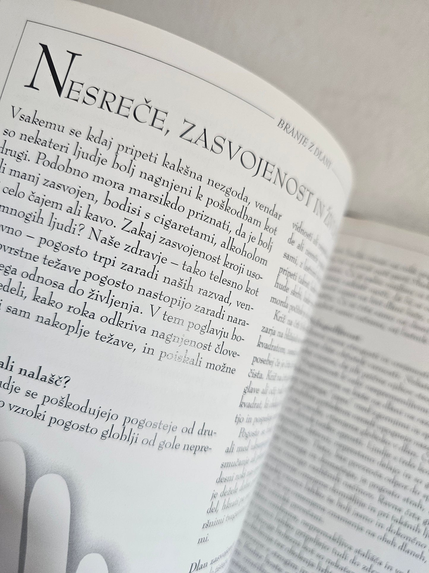 Branje z dlani ali Kako si začrtati svoje življenje? Roz Levine