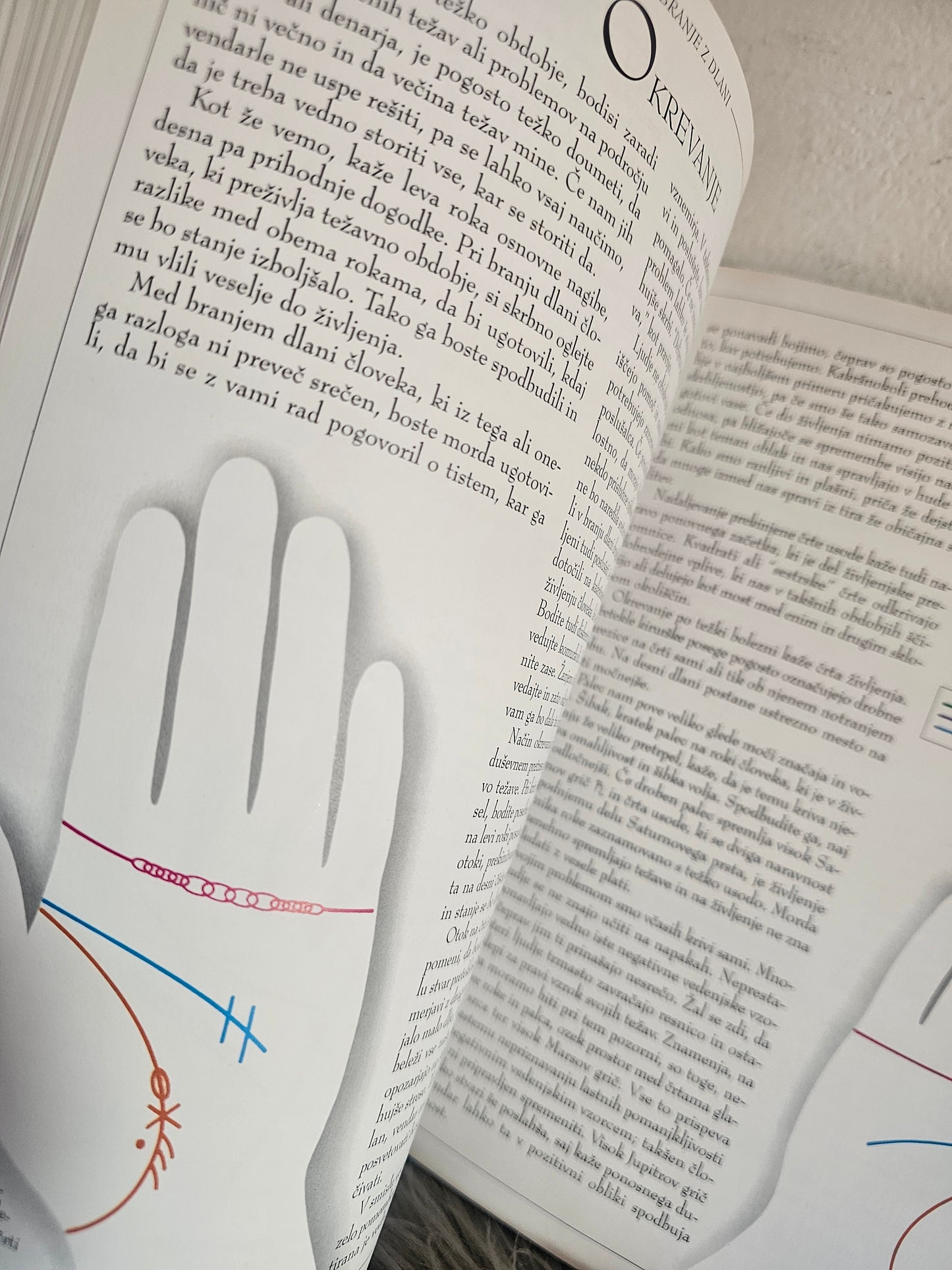 Branje z dlani ali Kako si začrtati svoje življenje? Roz Levine