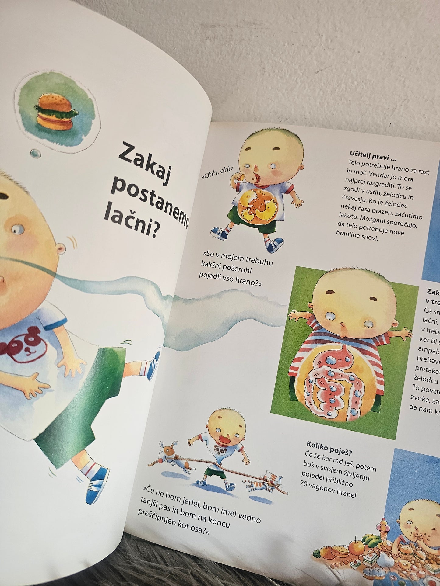 Skrivnosti našega telesa Mladinska knjiga