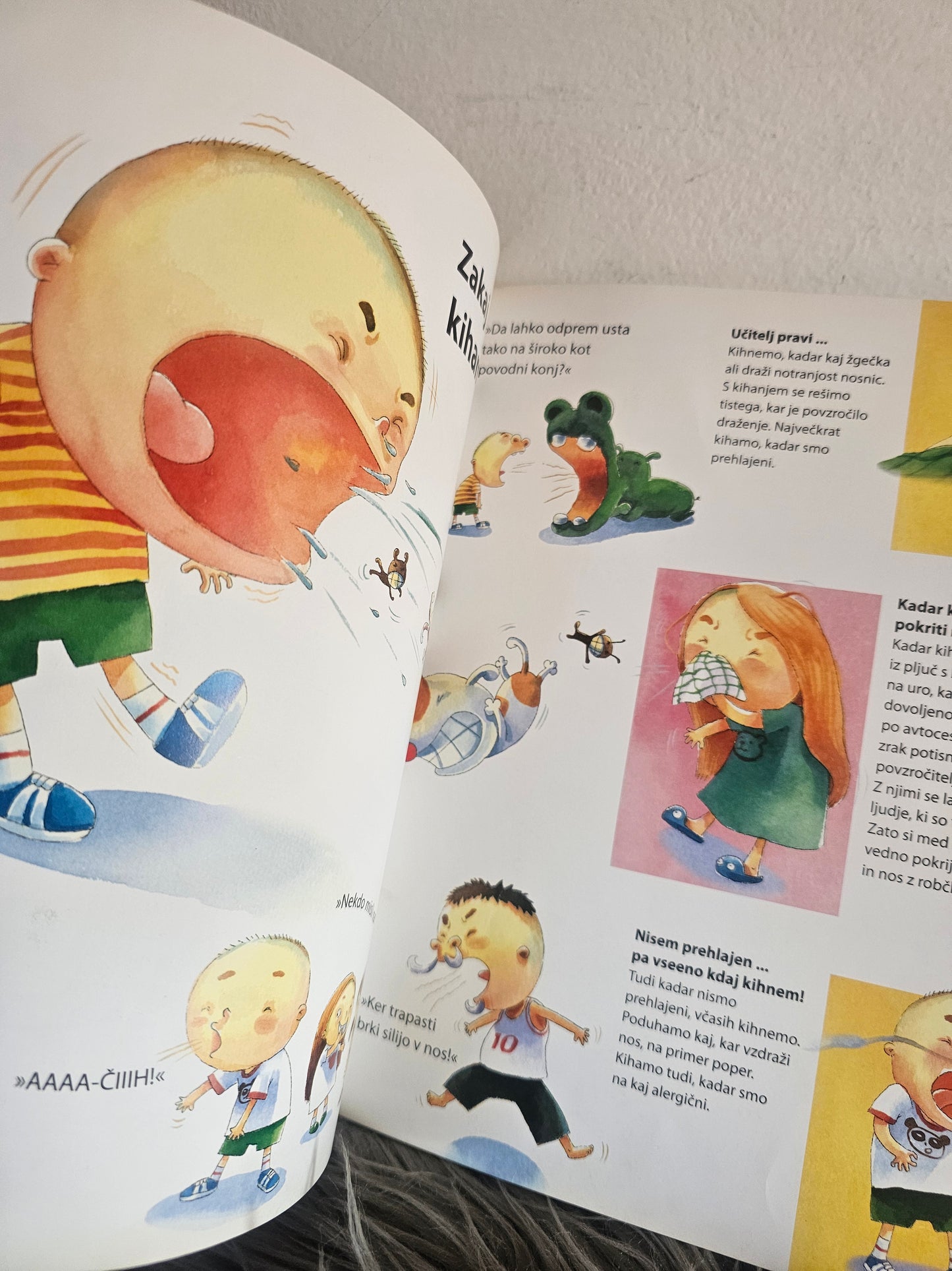 Skrivnosti našega telesa Mladinska knjiga