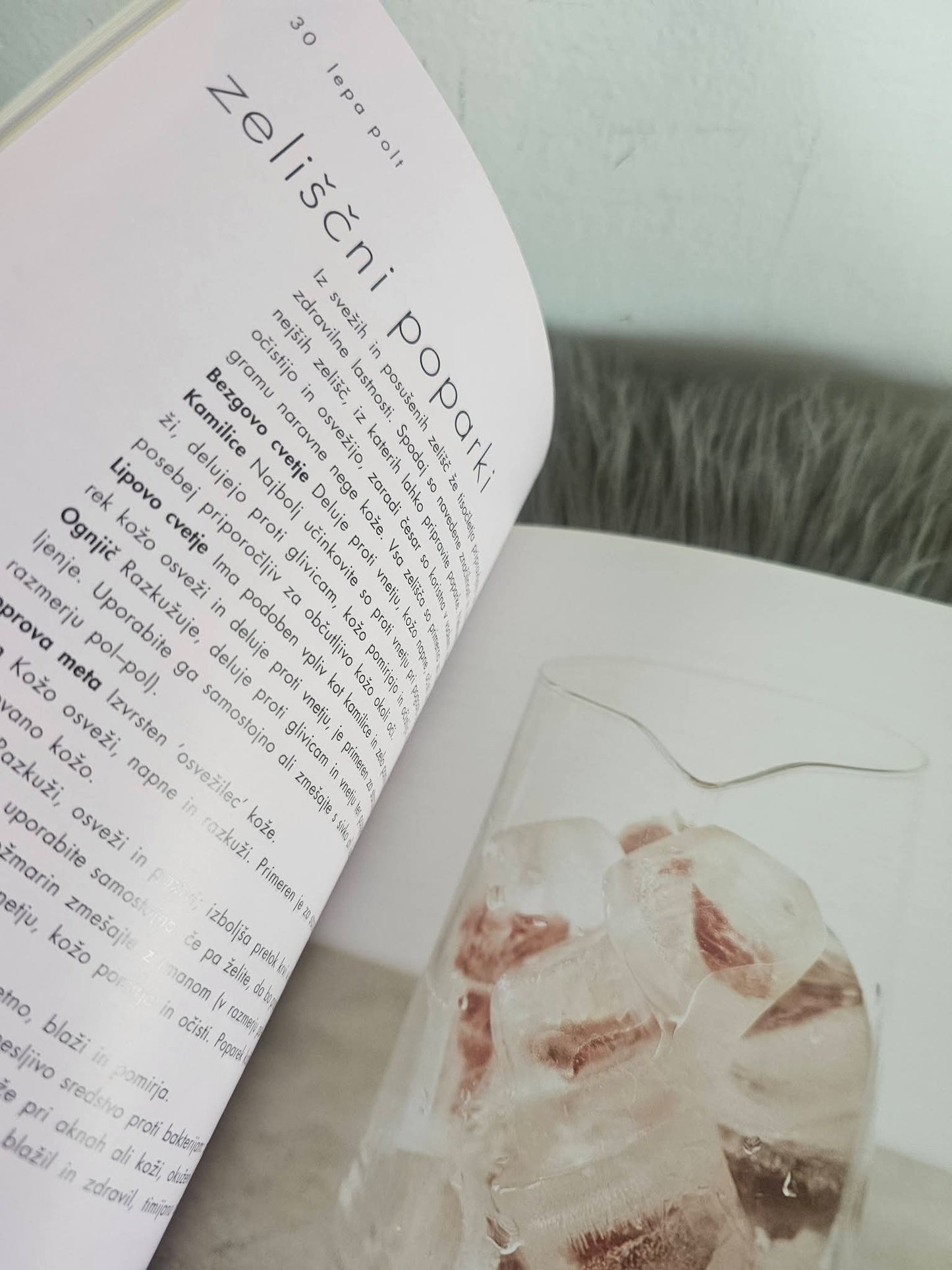 Lepa polt  Pierre Jean Cousin