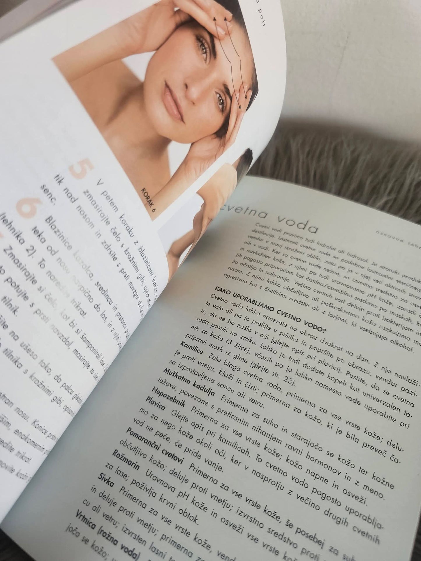 Lepa polt  Pierre Jean Cousin