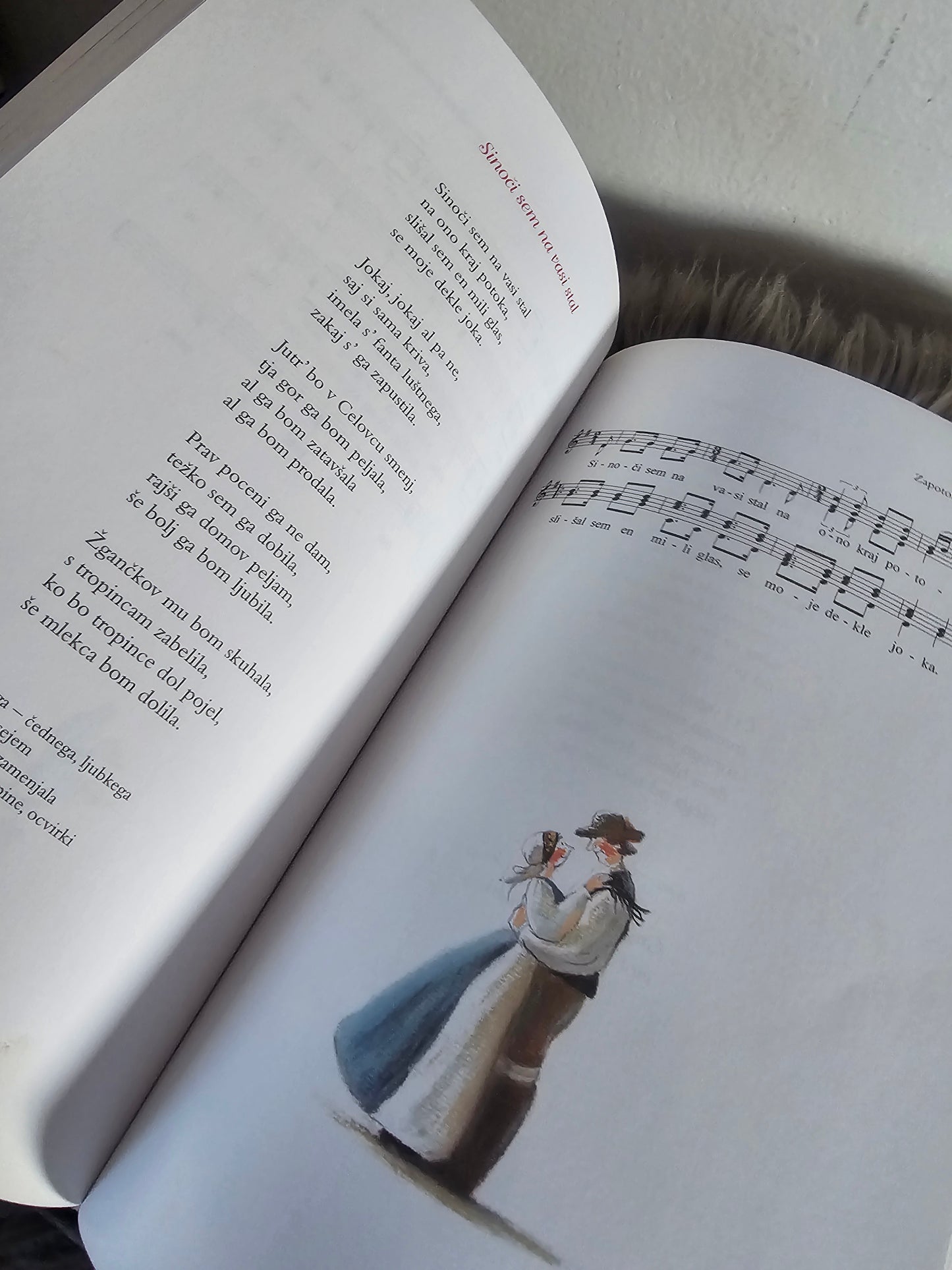 Družiinska pesmarica Mladinska knjiga