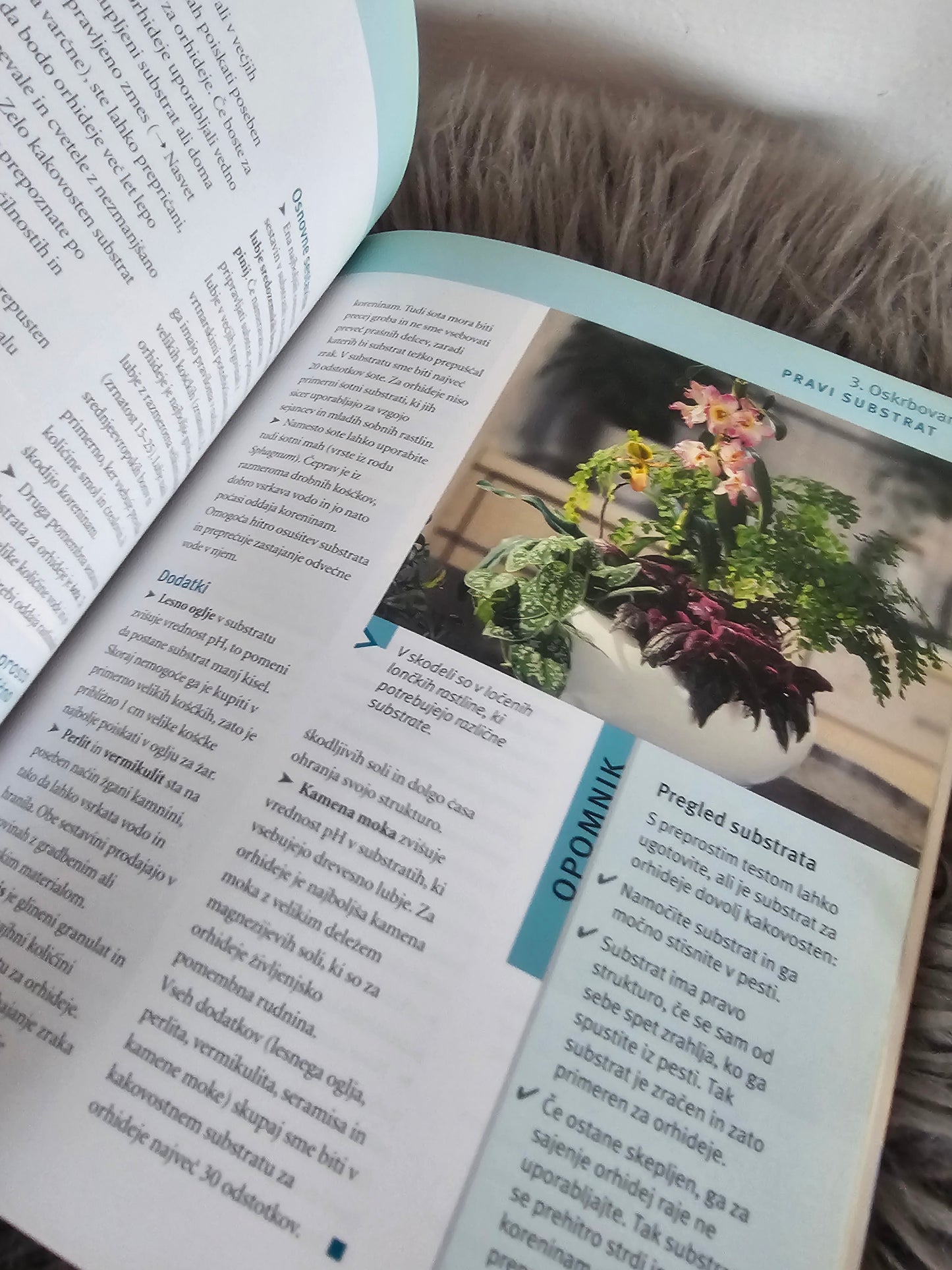 Orhideje preprosto in eksotično Frank Rollke