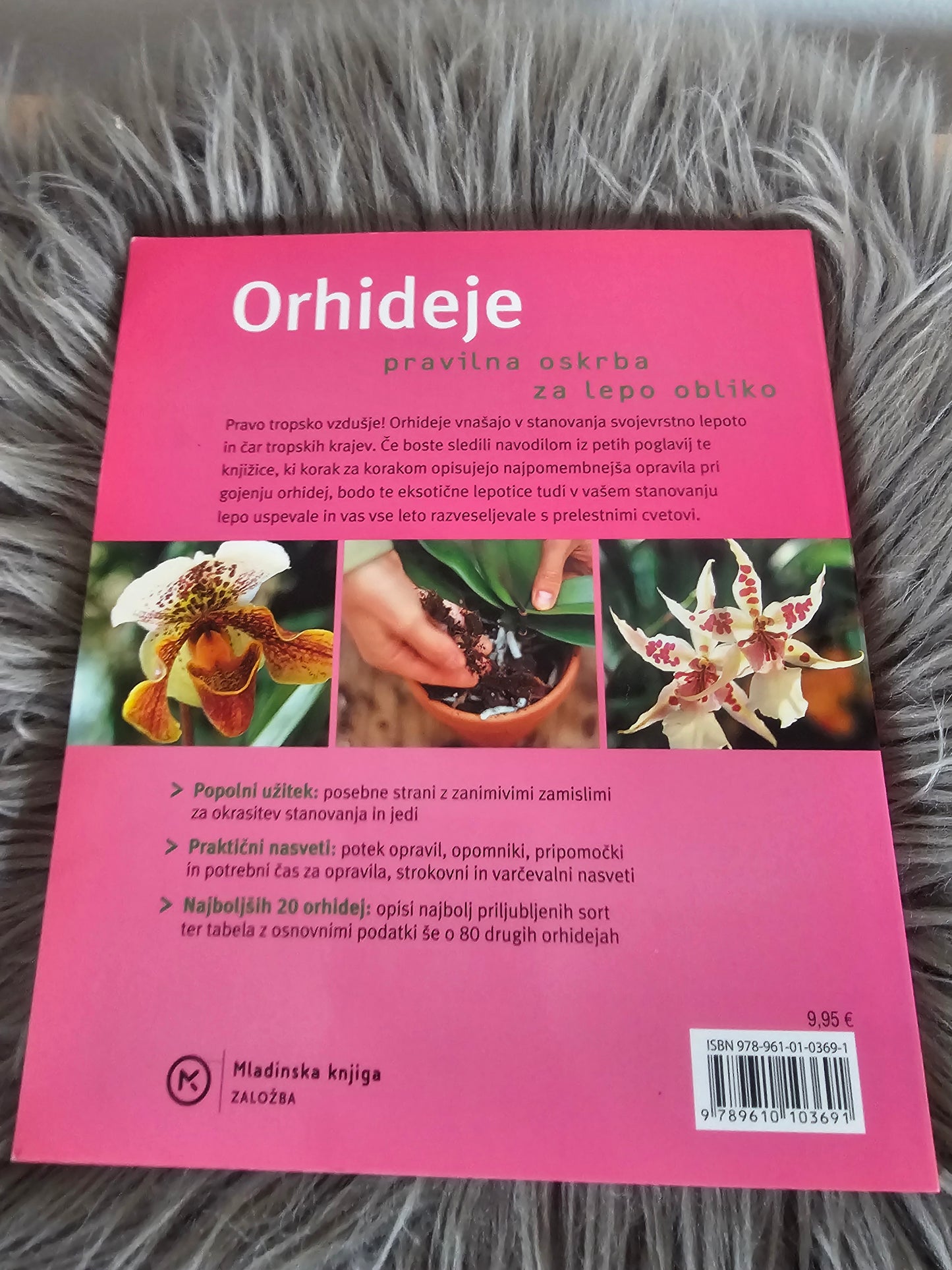 Orhideje preprosto in eksotično Frank Rollke