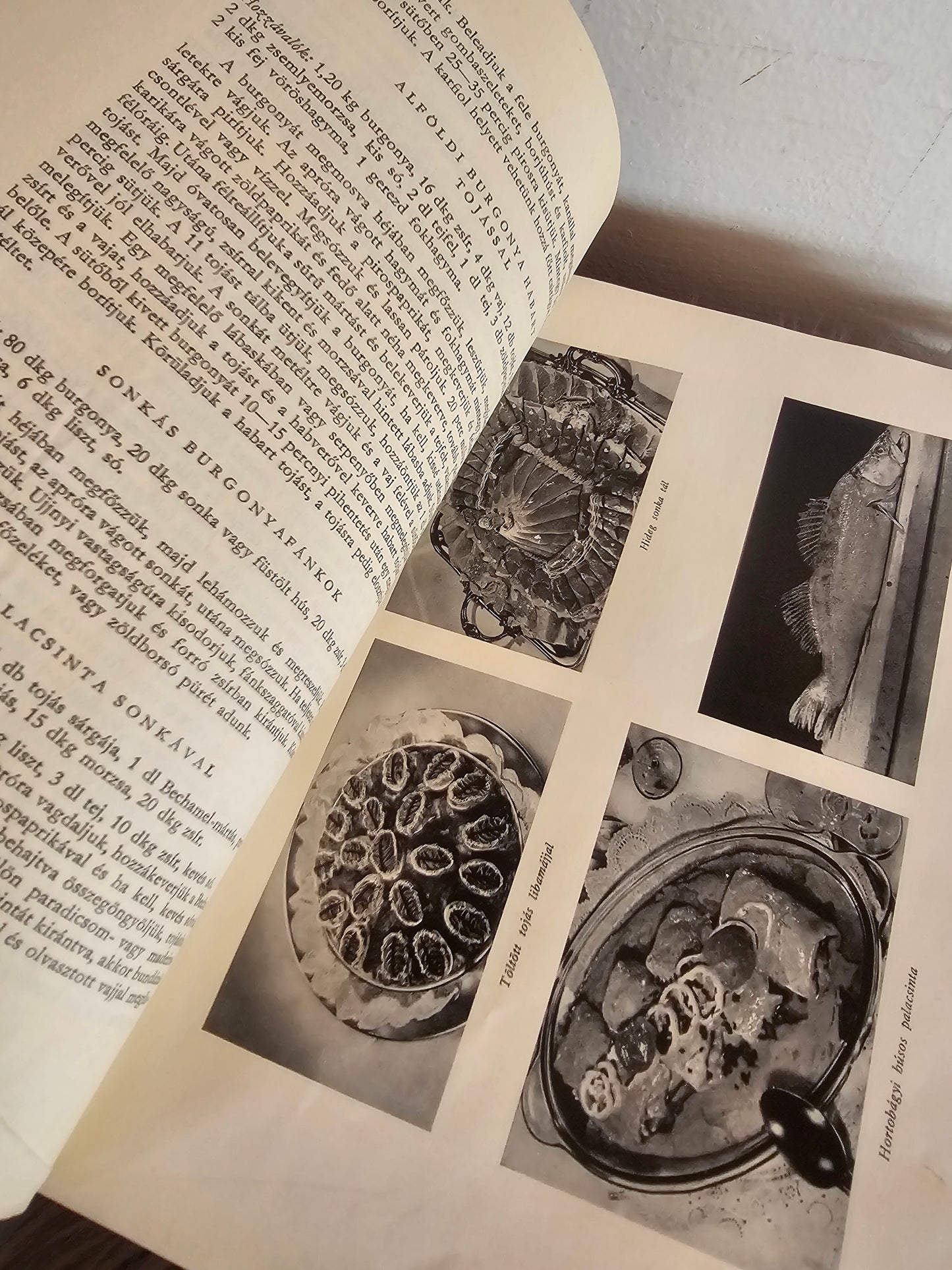 A Magyaros konyha Venesz Jozsef