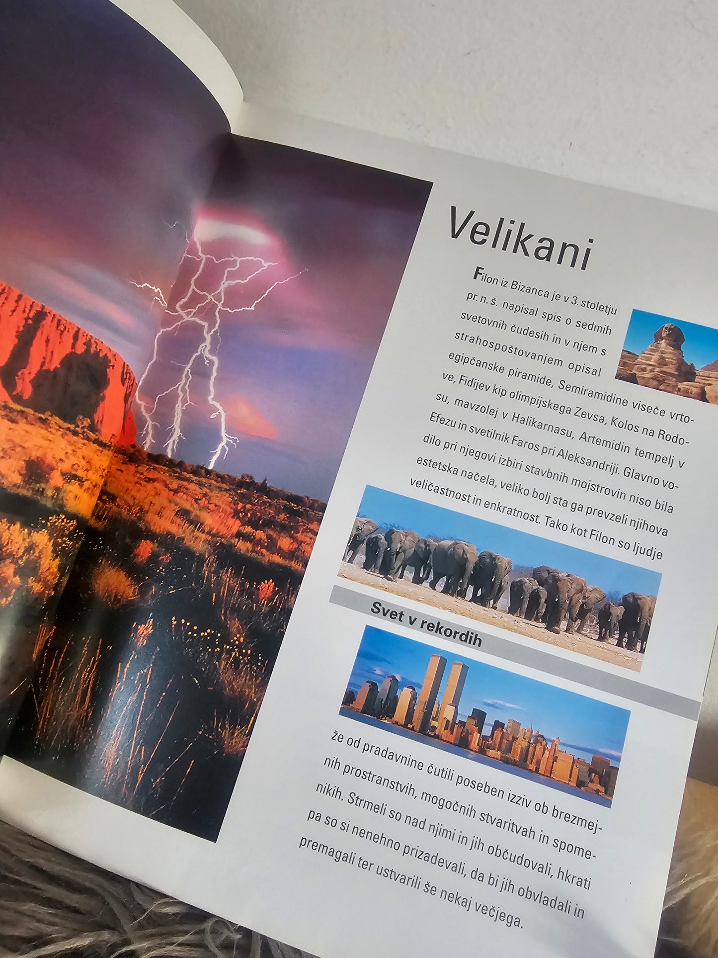 Svet v rekordih Svet knjige