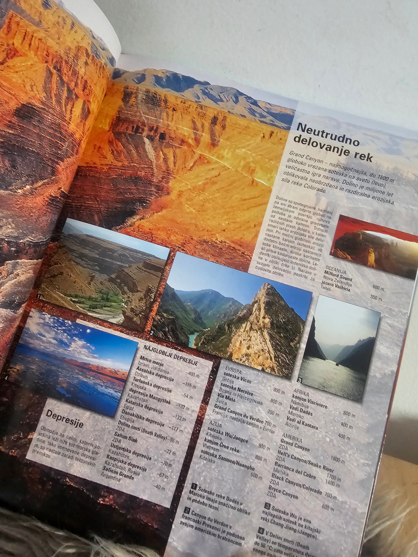 Svet v rekordih Svet knjige