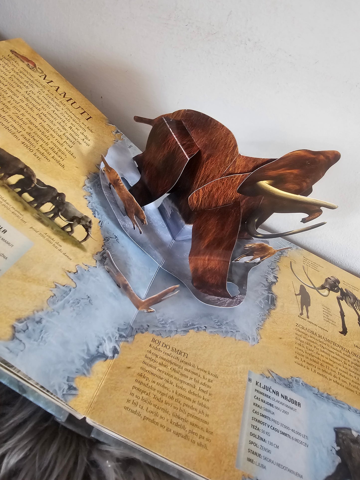 Ledena doba Tehniška Založba Slovenije