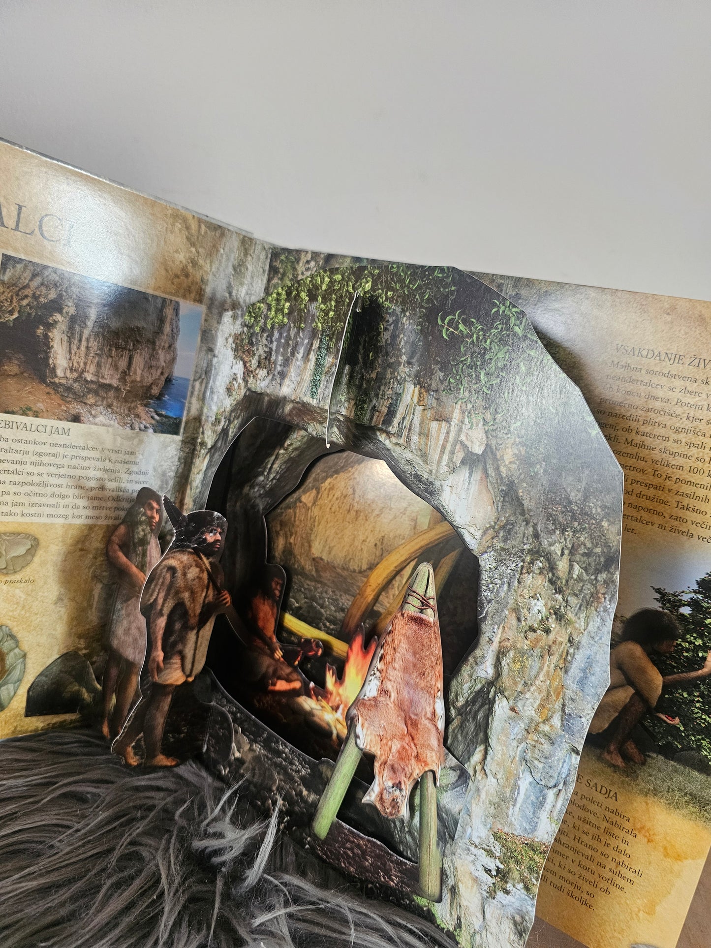 Ledena doba Tehniška Založba Slovenije