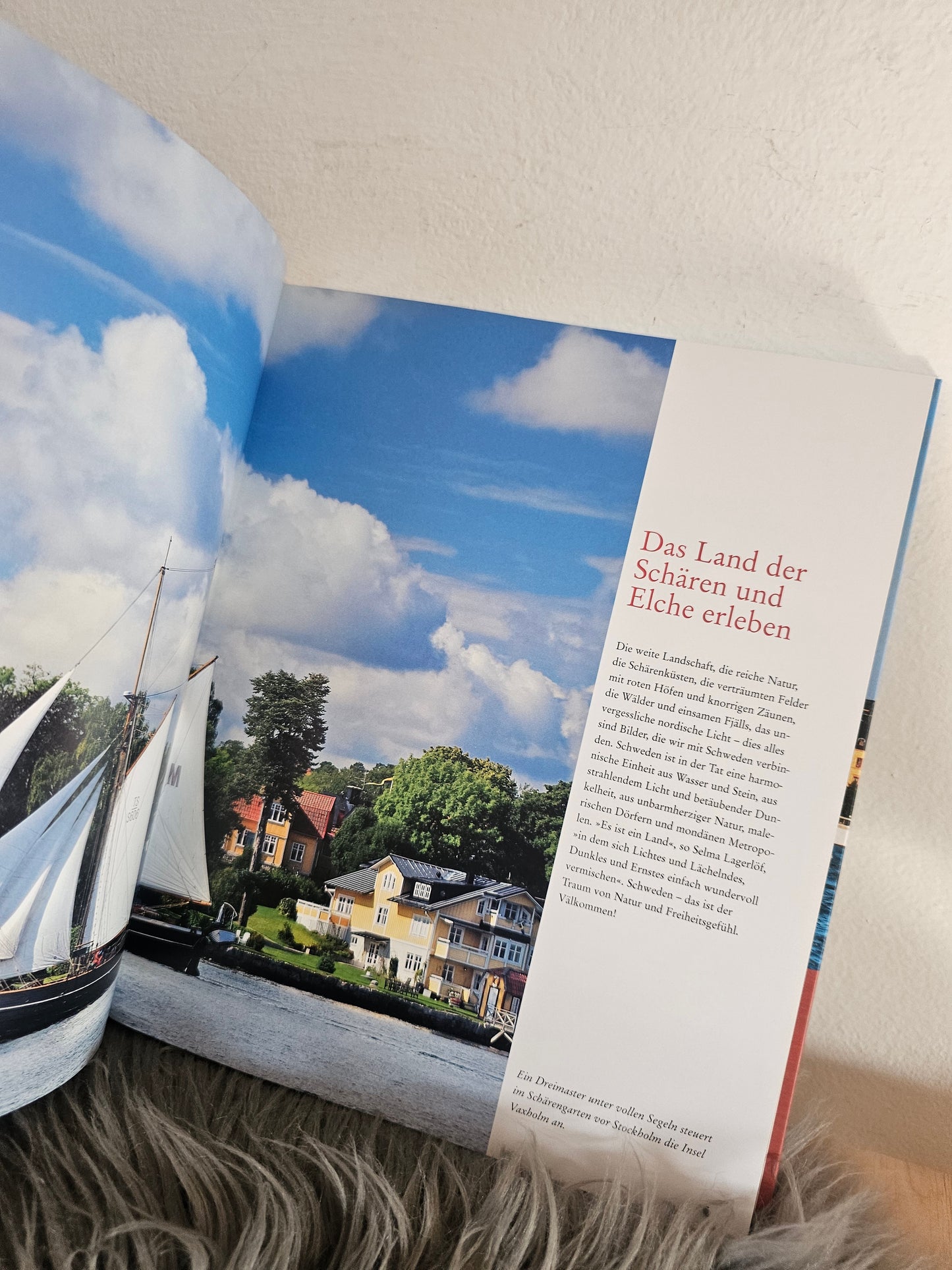 Die Welt Erleben Schweden več avtorjev