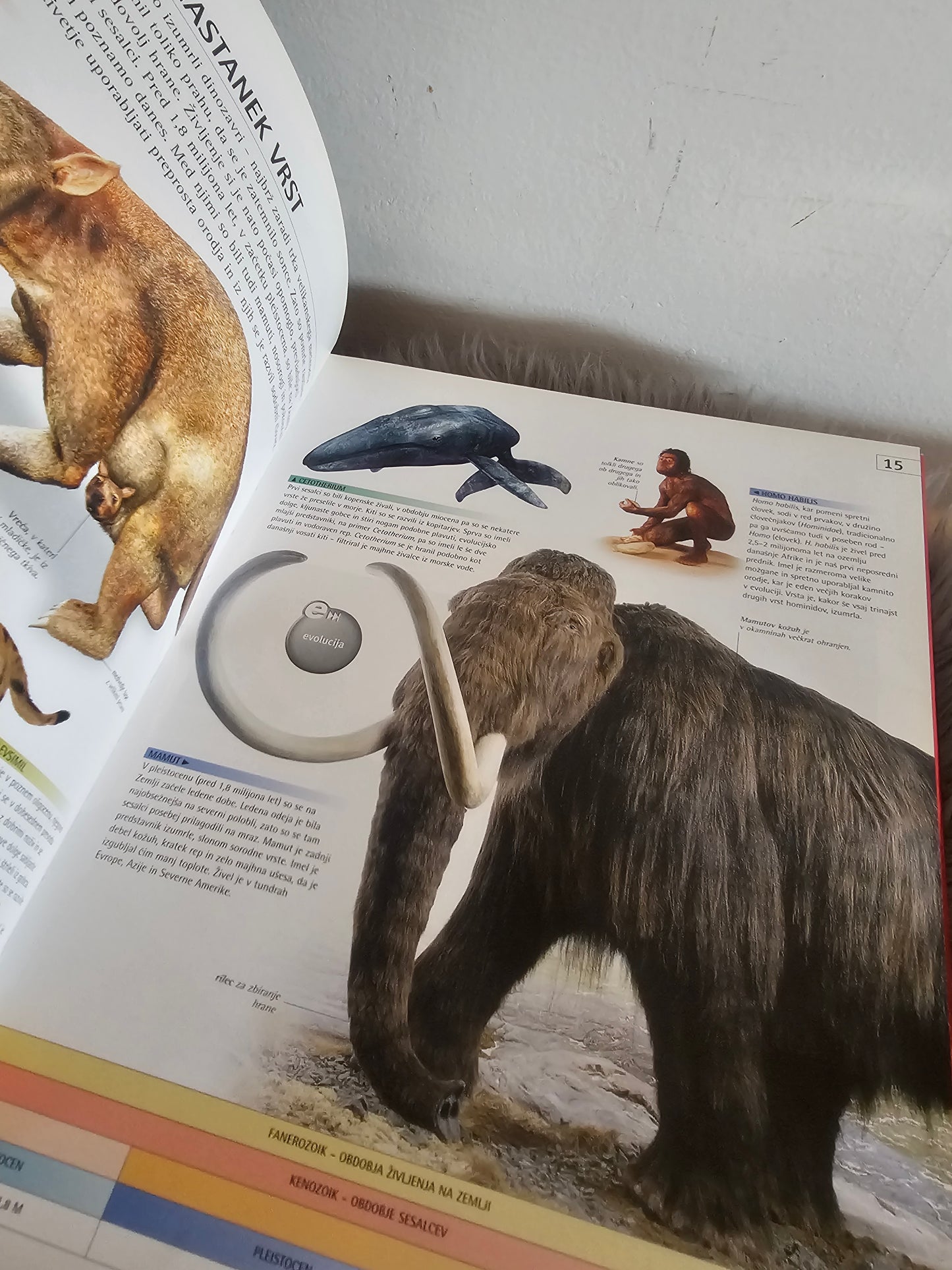 E raziskovalec Sesalci  več avtorjev