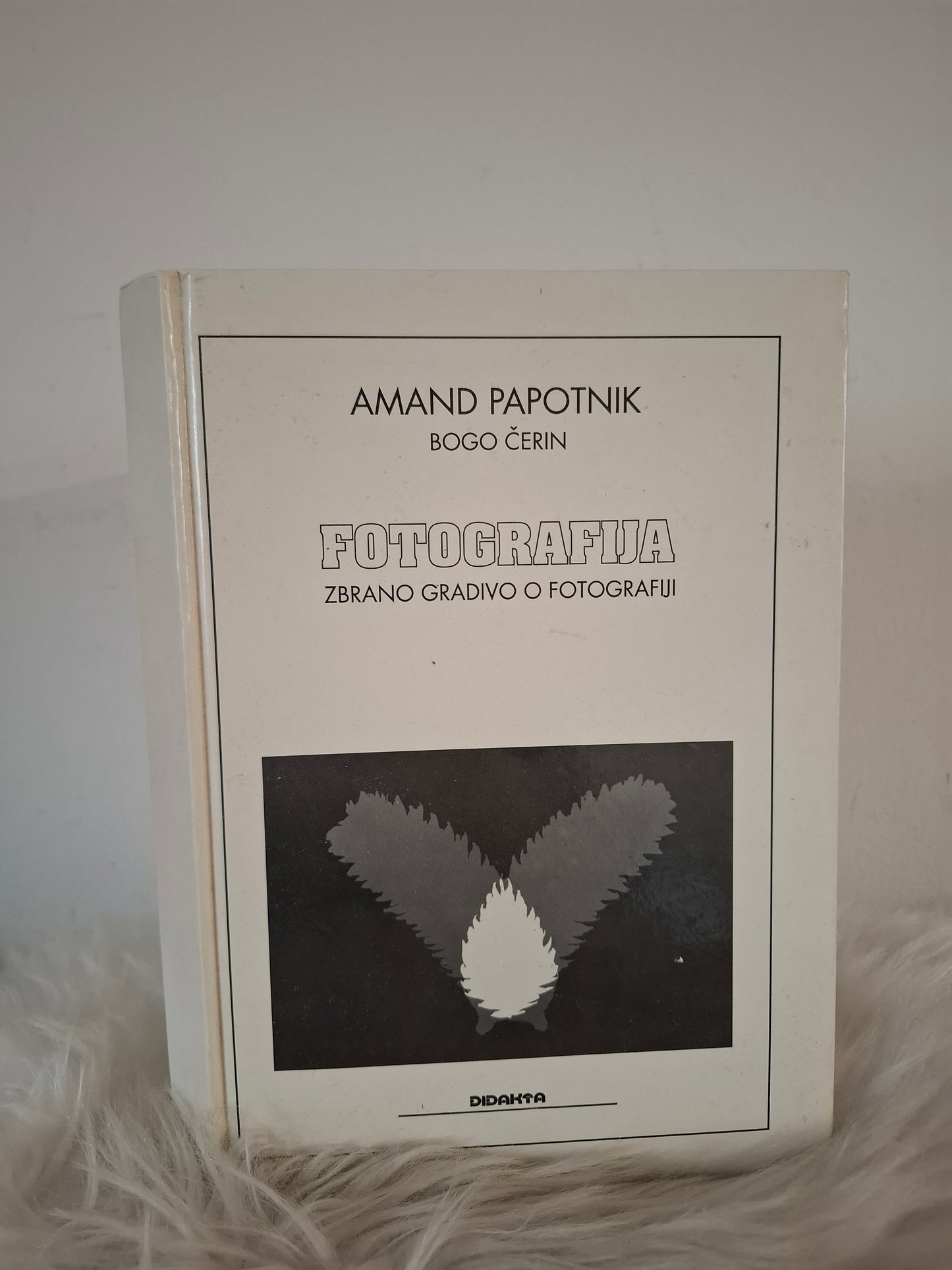 Fotografija, Amans Papotnik, Bogo Čerin