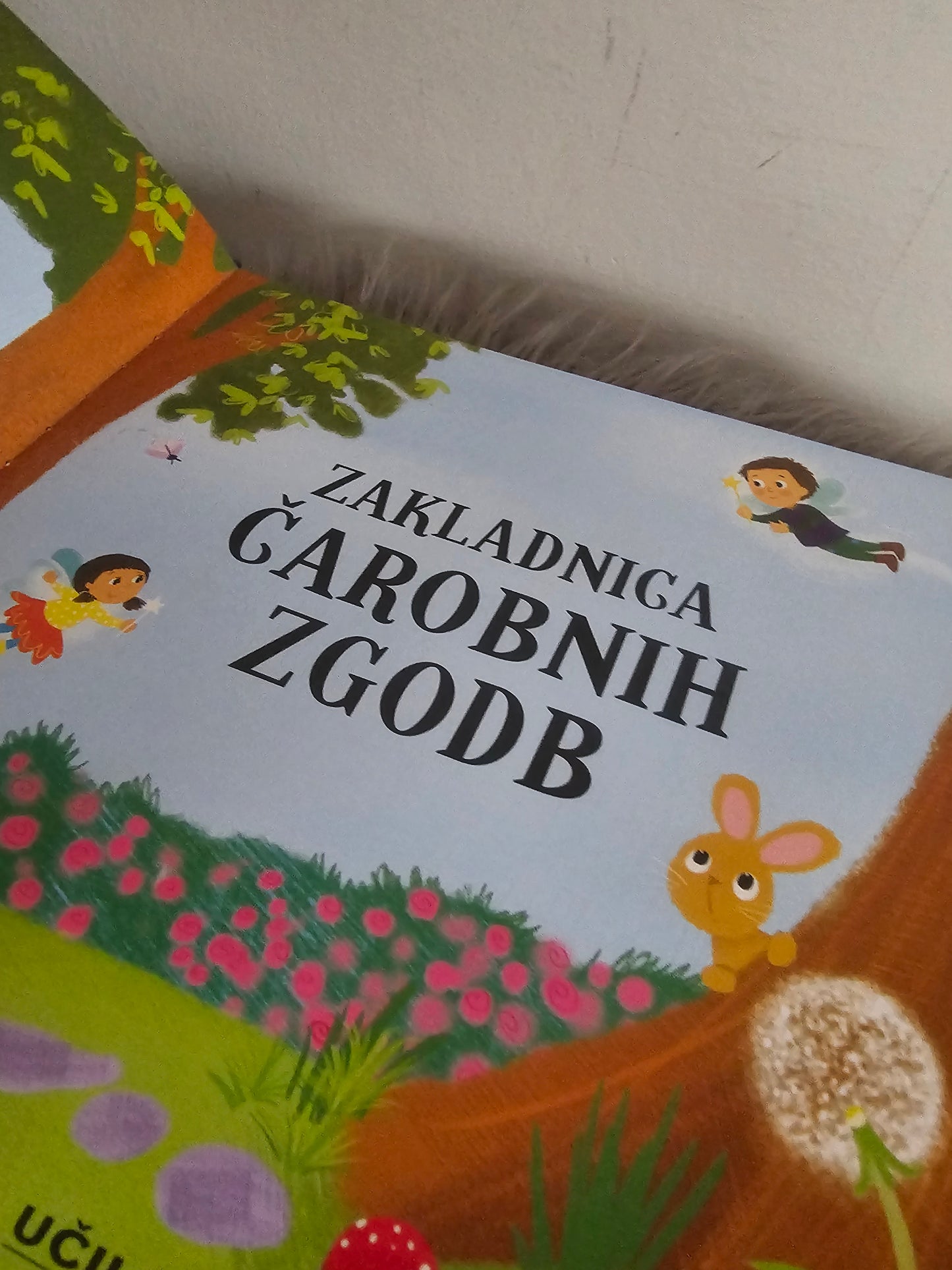 Zakladnica čarobnih zgodb 11 neverjetnih zgodb Učila