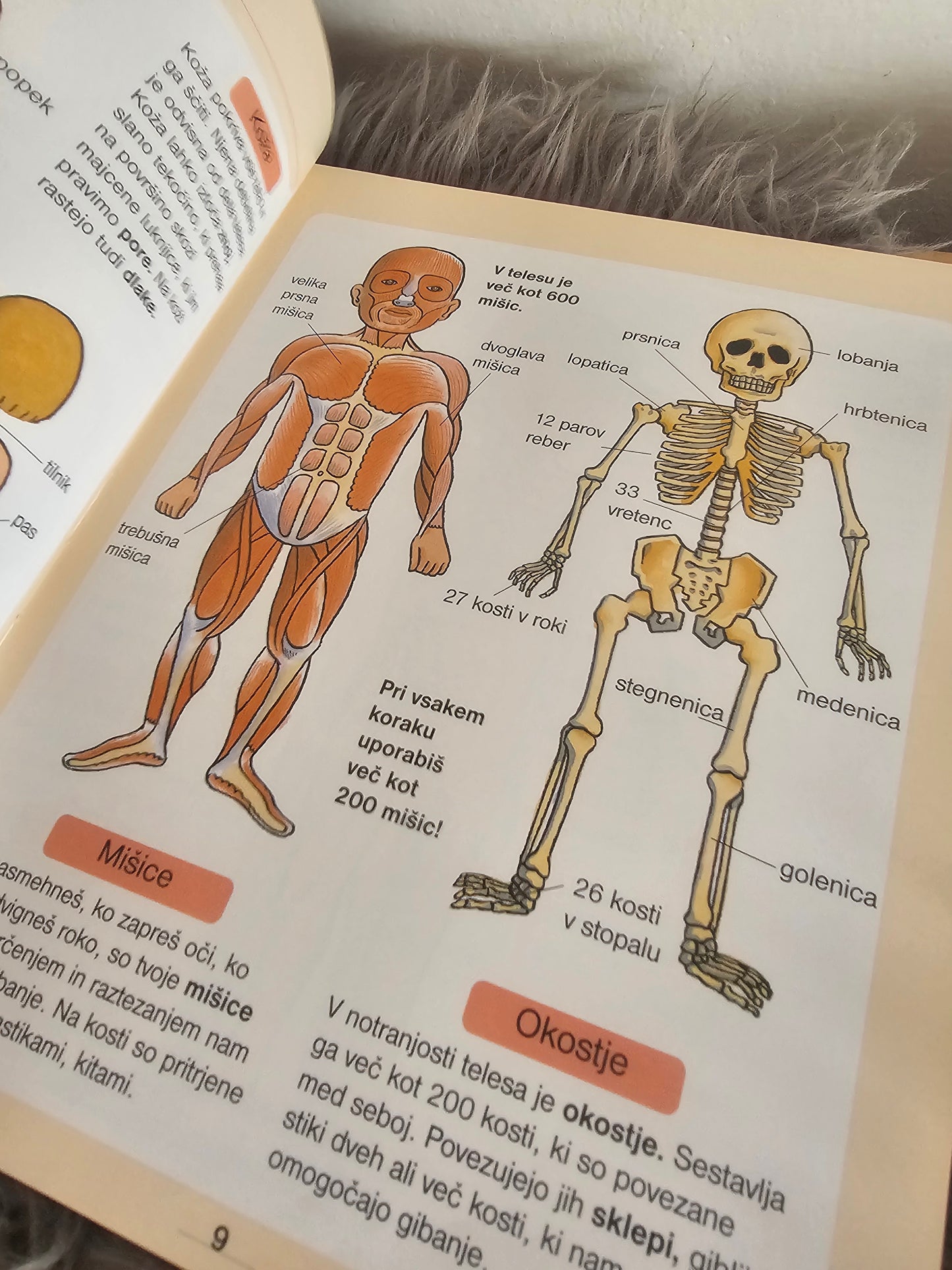 Moja prva enciklopedija ~ Larousse