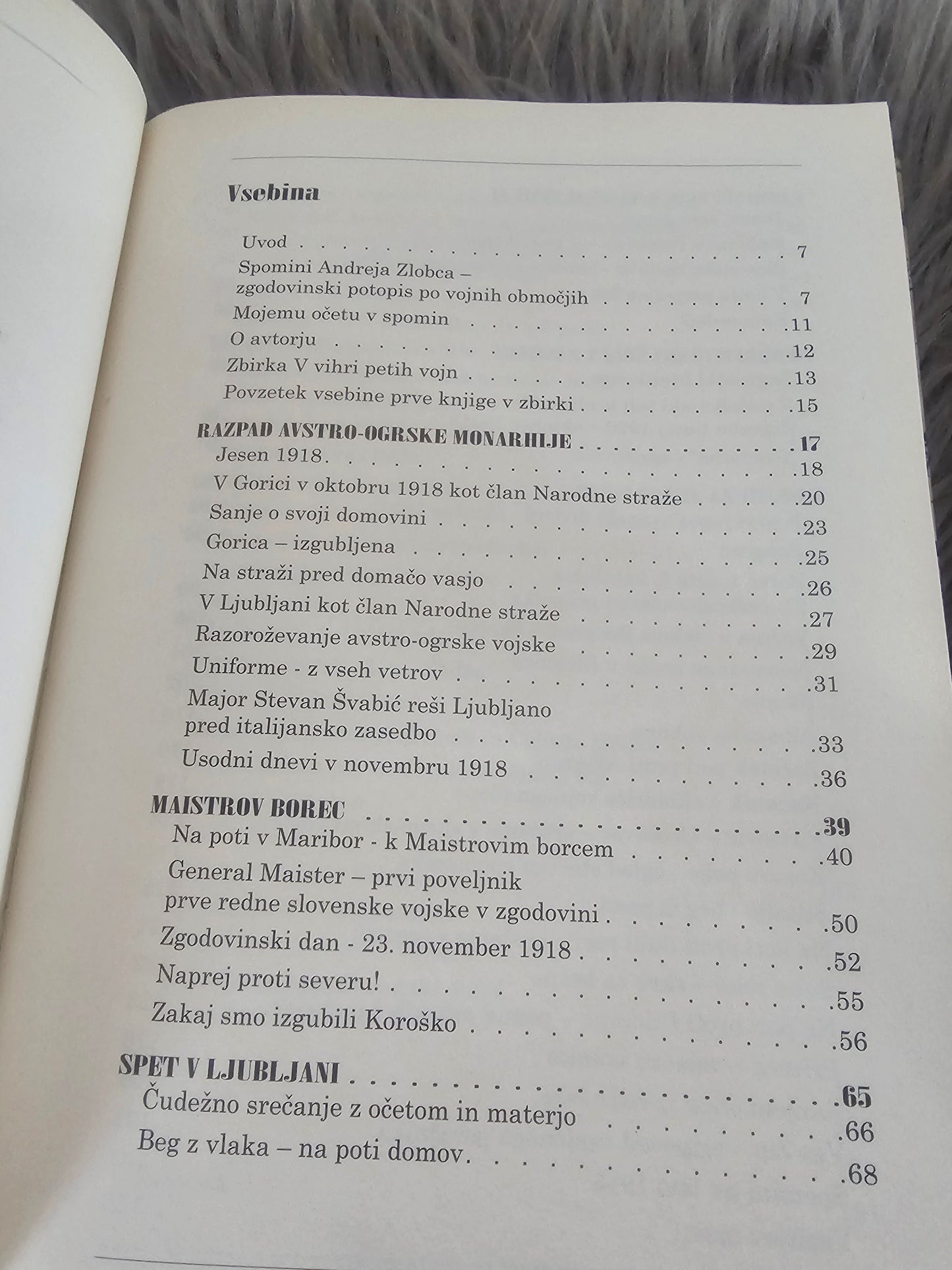 V bojih za severno in južno mejo, Andrej Zlobec