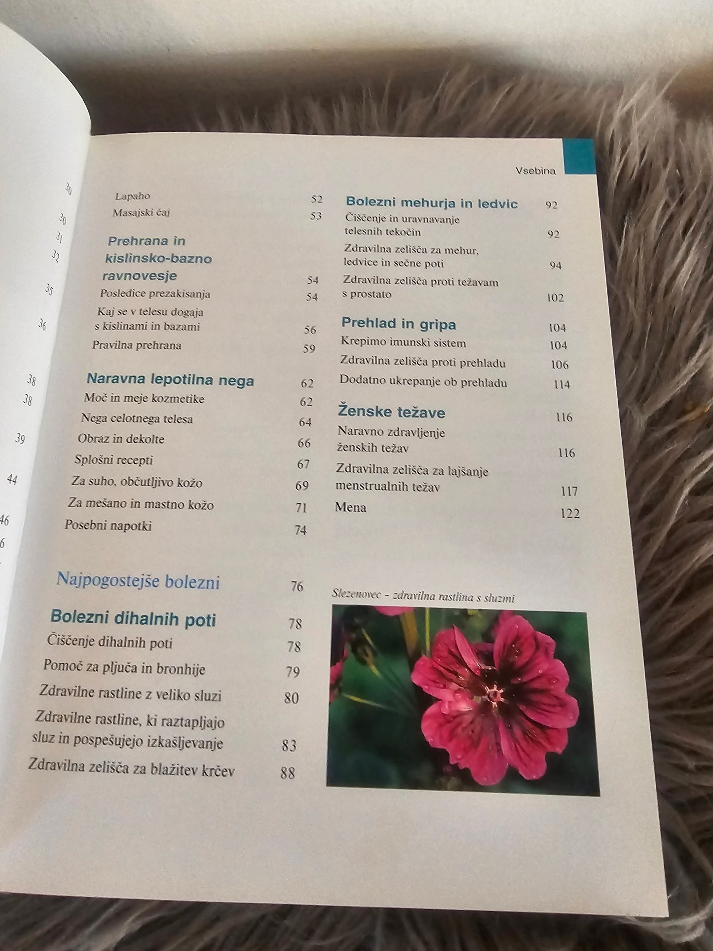 Zdravilna moč čajev Wolfgang Mohring