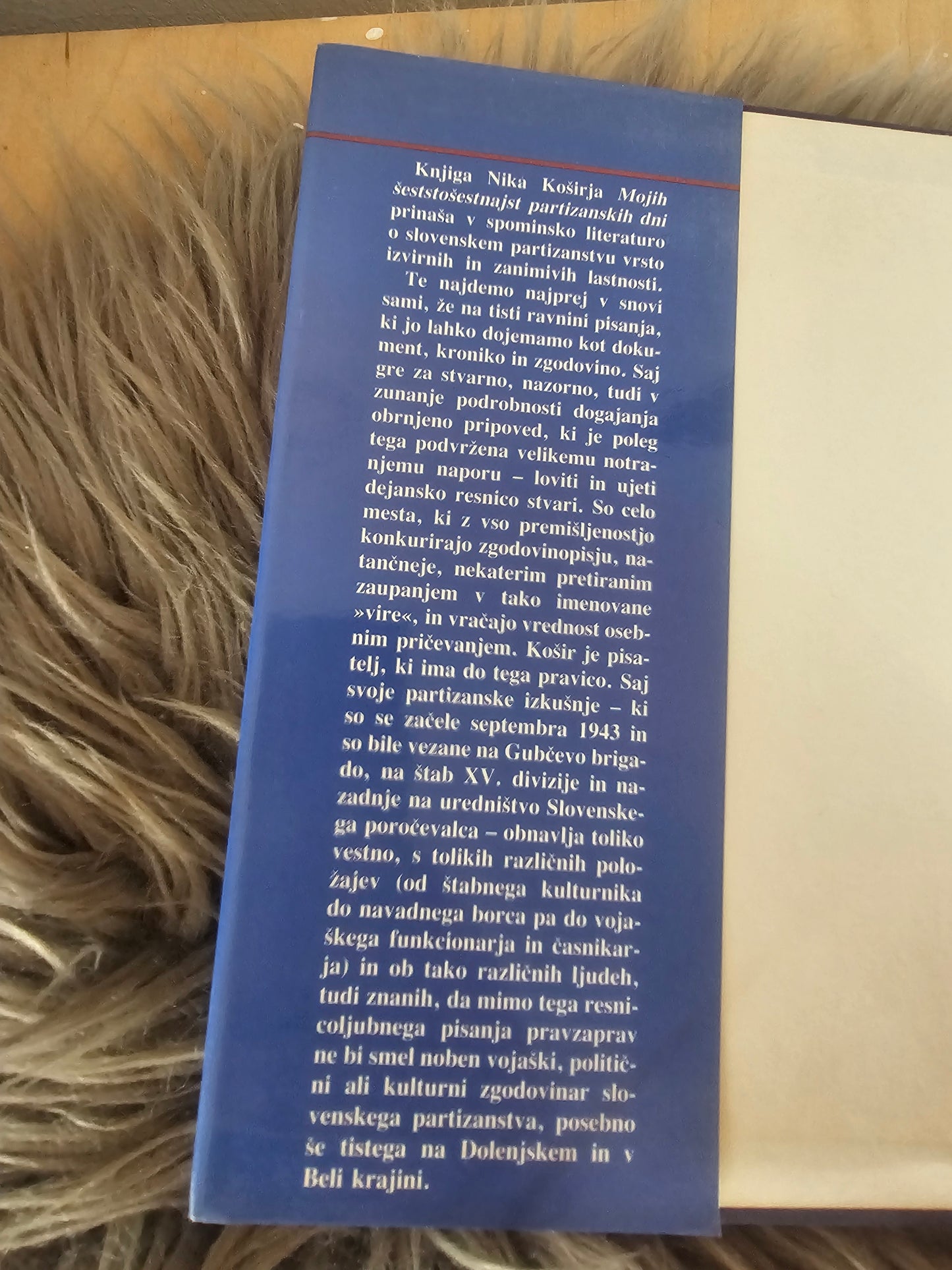 Mojih 616 partizanskih dni, Niko Košir
