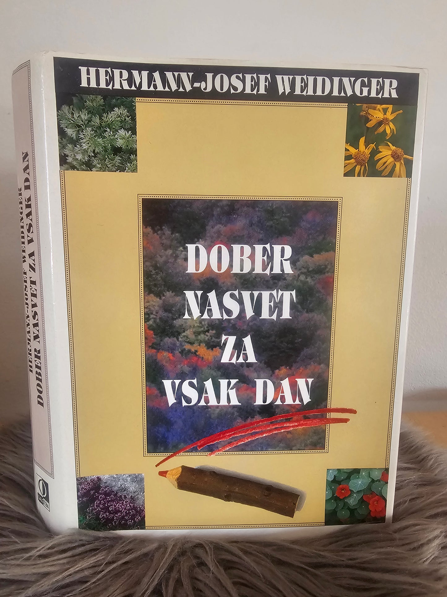 Dober nasvet za vsak dan Hermann Josef Weidinger