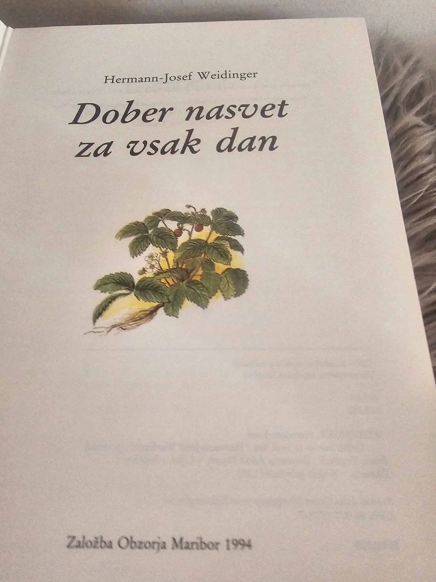Dober nasvet za vsak dan Hermann Josef Weidinger