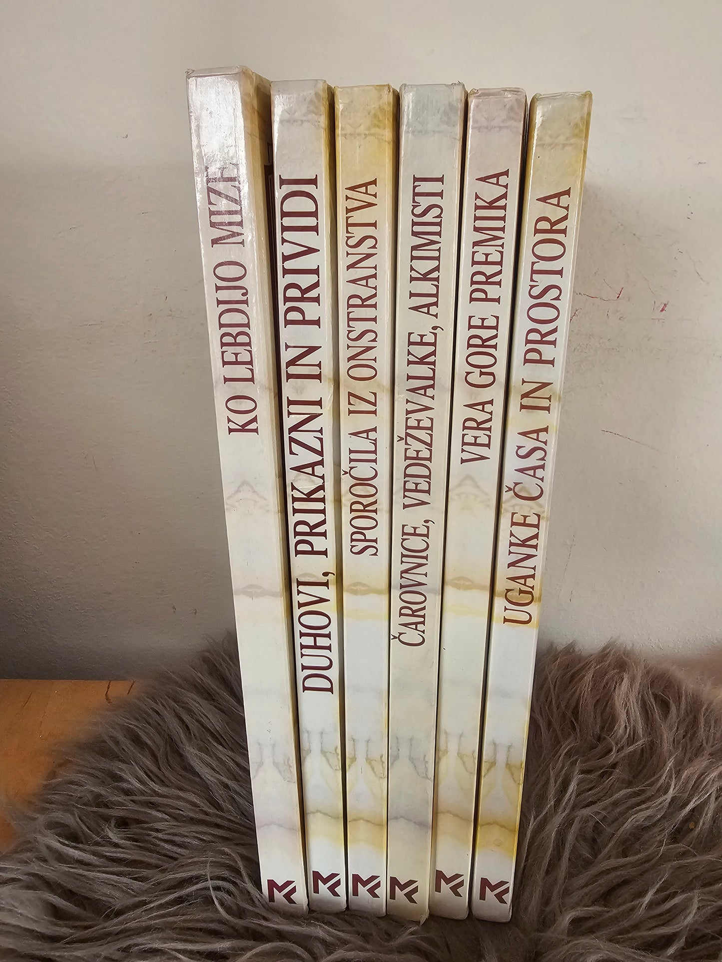 Na meji resničnega Založba Mladinska knjiga