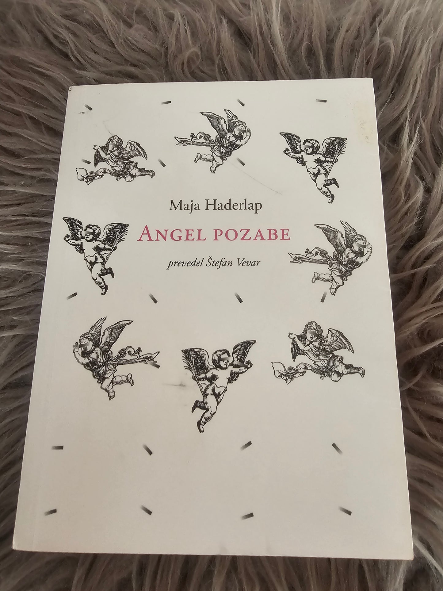 Angel pozabe Maja Haderlap