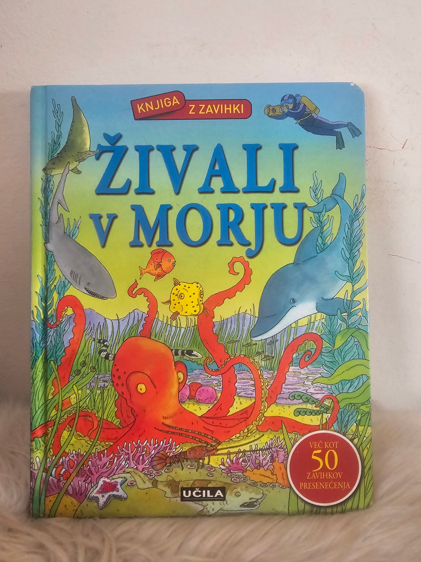 Živali v morju z zavihki  Učila
