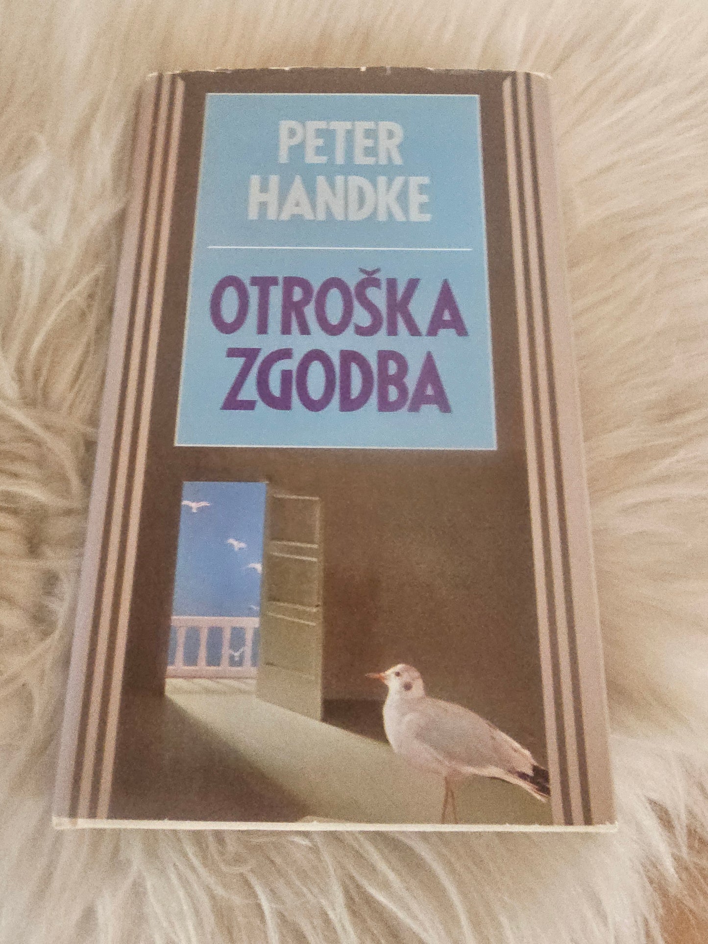 Otroška zgodba Peter Handke