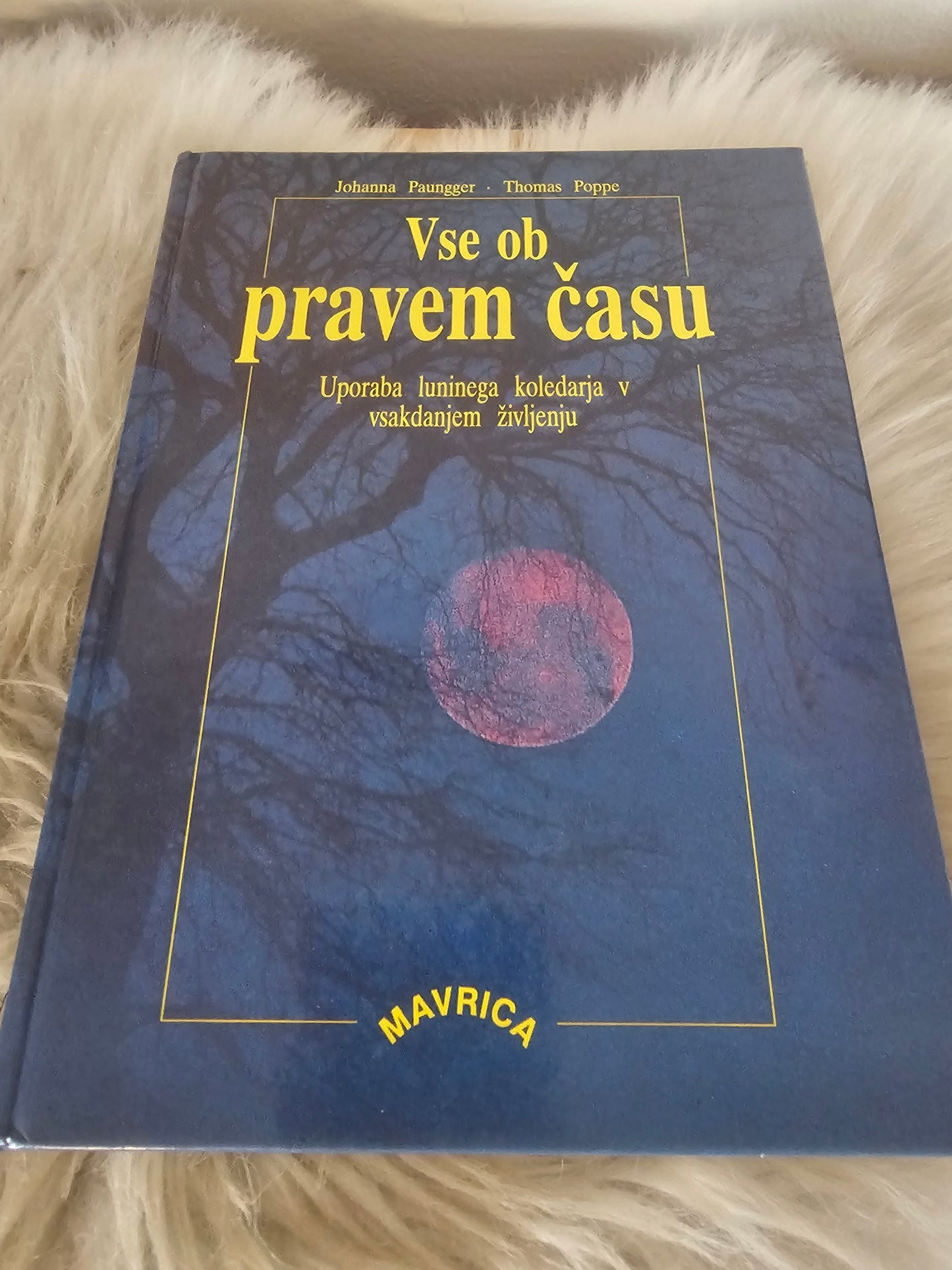 Vse ob pravem času Johanna Paungger