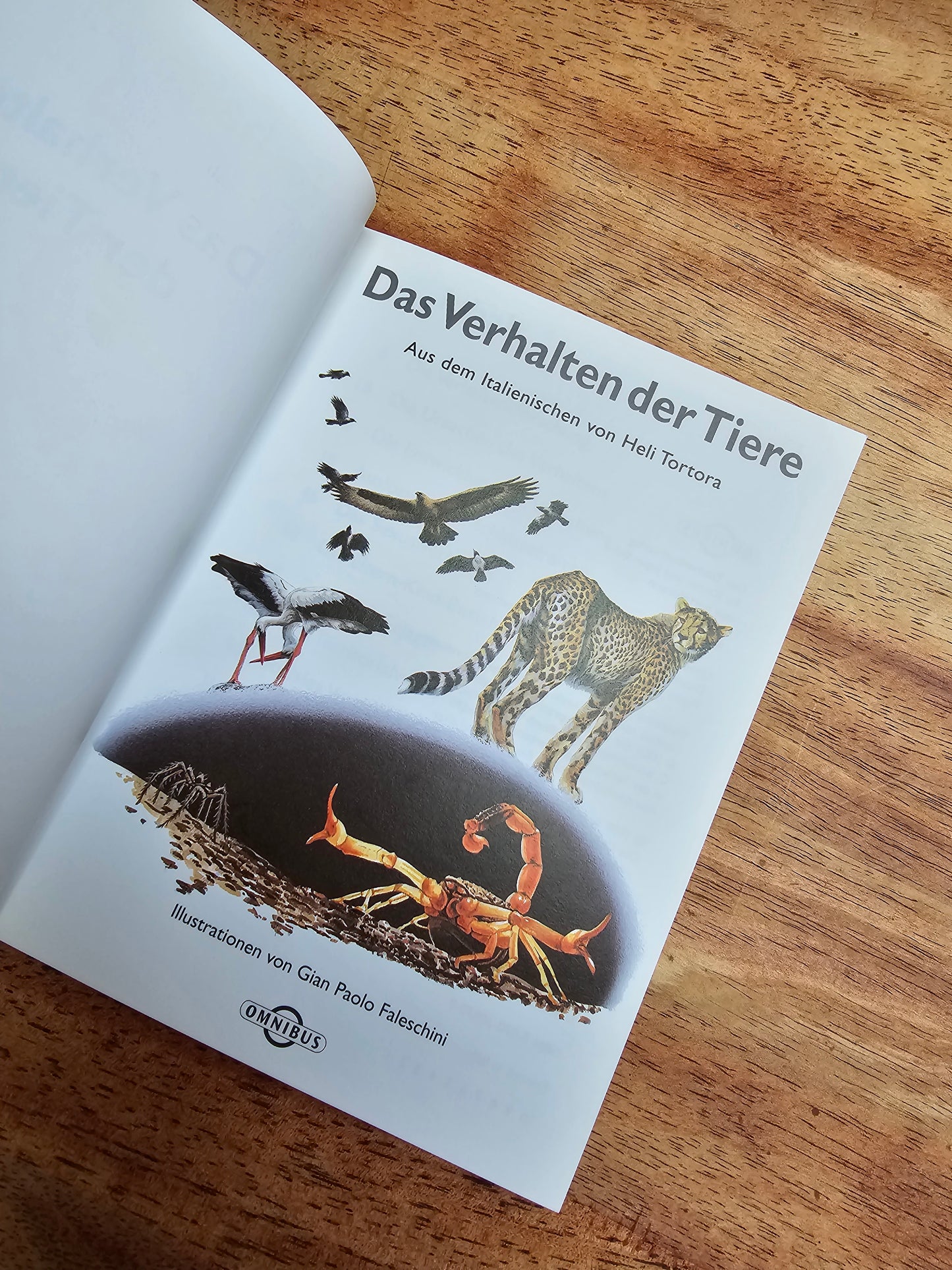 Das Verhalten der Tiere