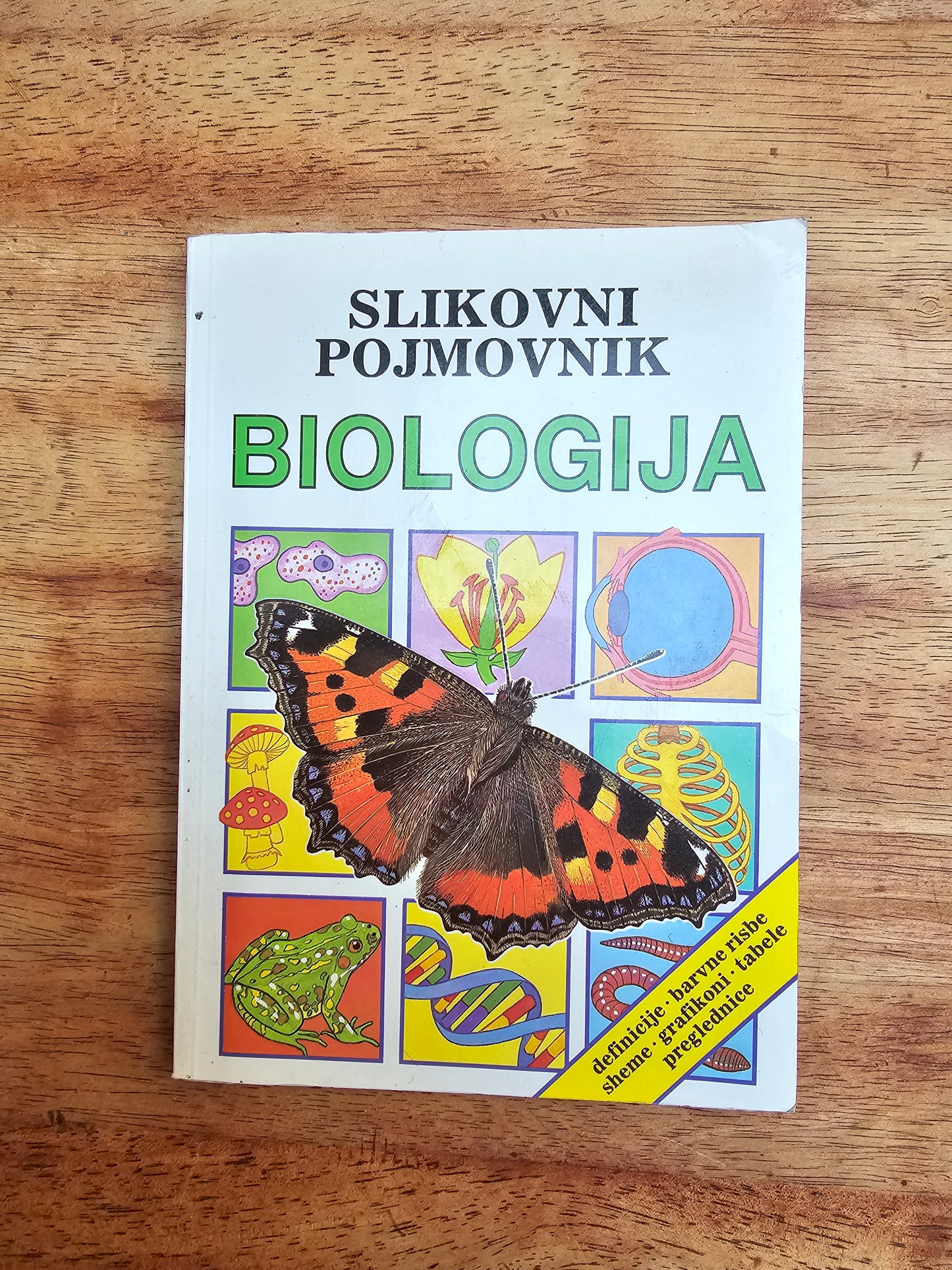 Biologija Corinne Stockley