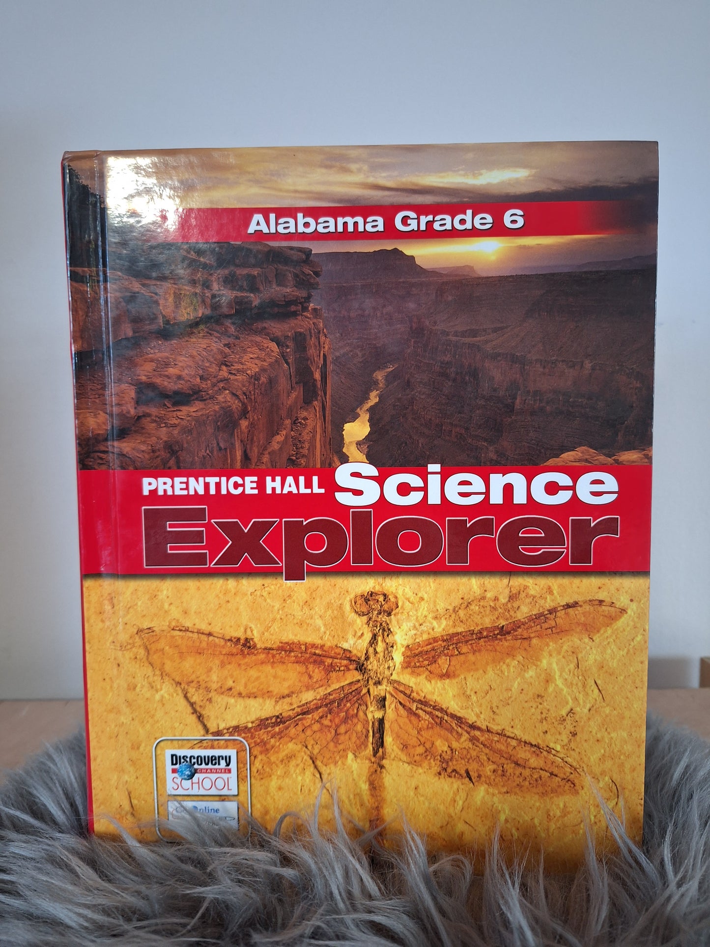 Science Explorer Prentice Hall