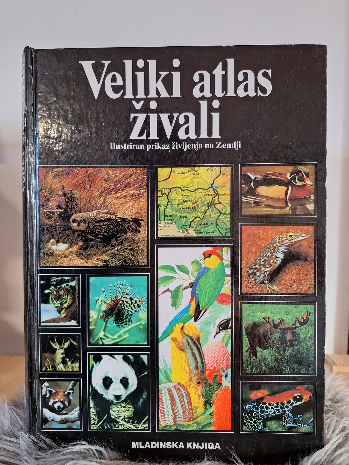 Veliki atlas živali-ilustriran prikaz življenja na Zemlji Mladinska knjiga