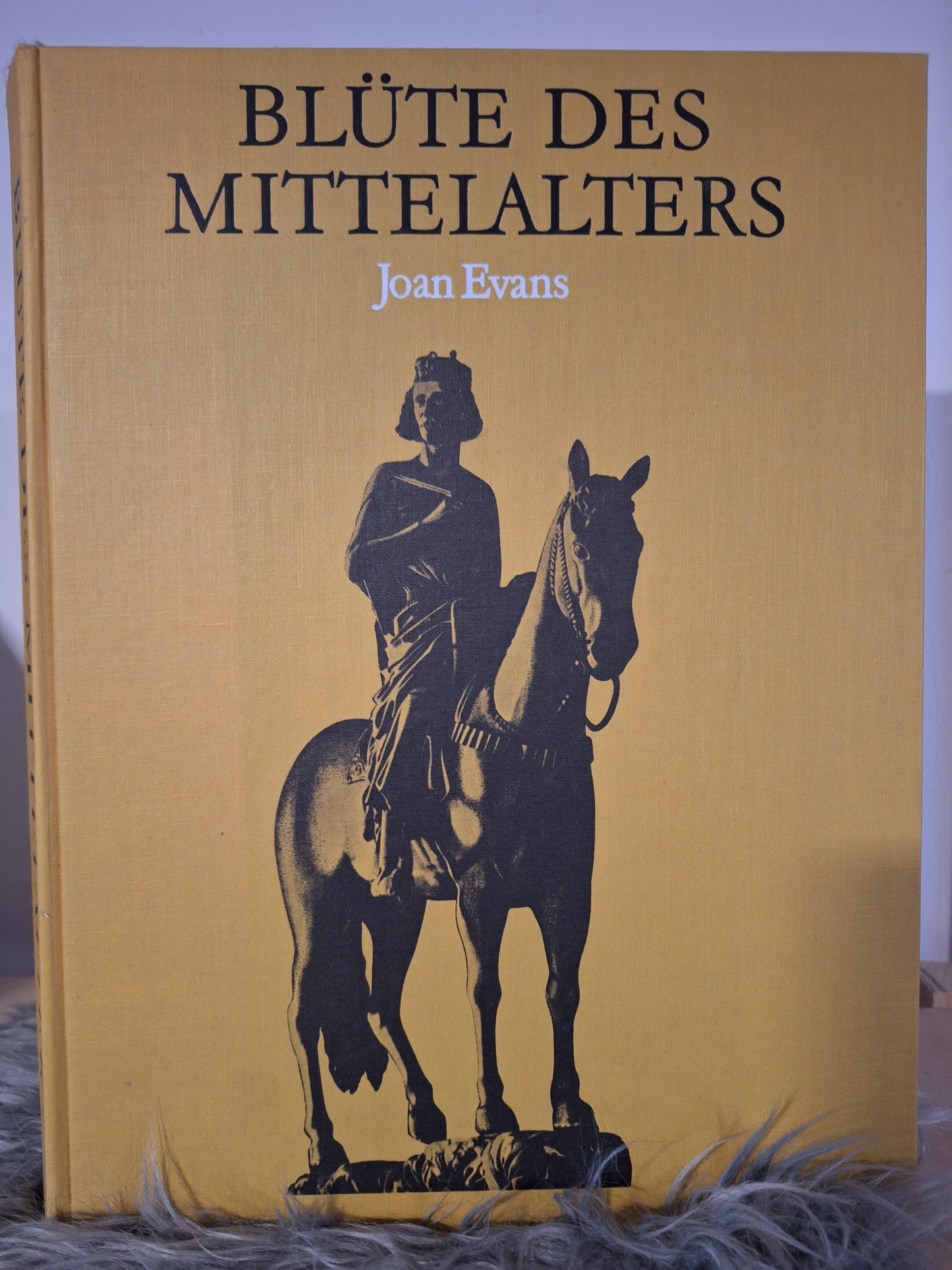 Morgen des Abendlandes, Die Zeit des Barock, Das neunzehnte Jahrhundert, Die Renaissance(Herausgegeben von der Denys Hay), -Das schtzehnte Jahrhundert(Aufklärung,Rokoko und Revolution), -Blüte Des Mittelalters(John Evans).