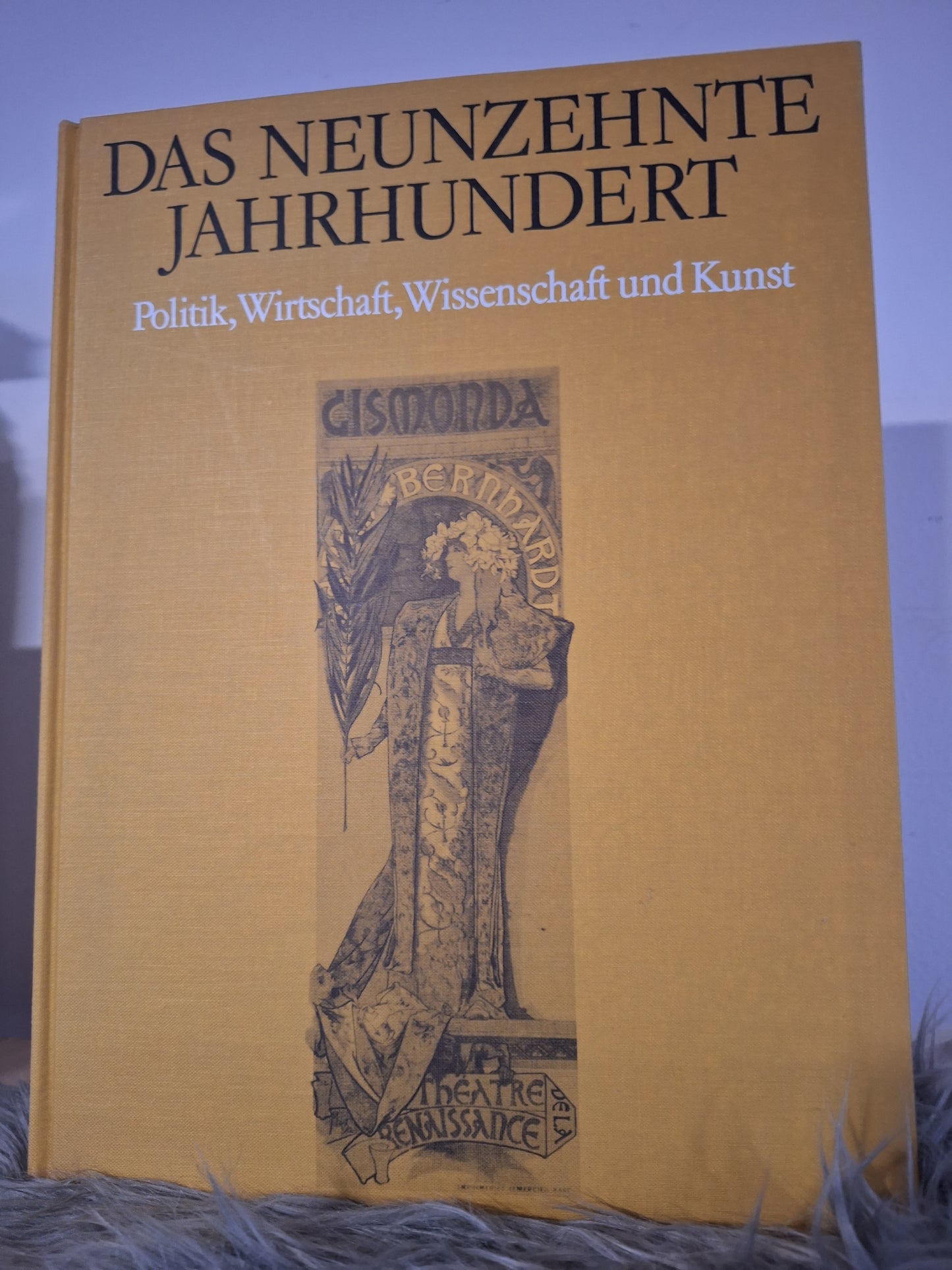 Morgen des Abendlandes, Die Zeit des Barock, Das neunzehnte Jahrhundert, Die Renaissance(Herausgegeben von der Denys Hay), -Das schtzehnte Jahrhundert(Aufklärung,Rokoko und Revolution), -Blüte Des Mittelalters(John Evans).