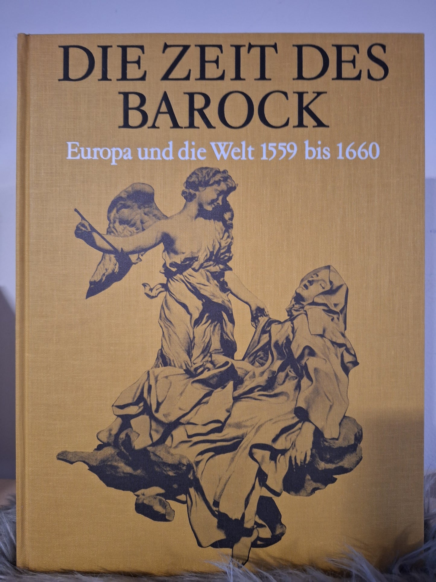 Morgen des Abendlandes, Die Zeit des Barock, Das neunzehnte Jahrhundert, Die Renaissance(Herausgegeben von der Denys Hay), -Das schtzehnte Jahrhundert(Aufklärung,Rokoko und Revolution), -Blüte Des Mittelalters(John Evans).