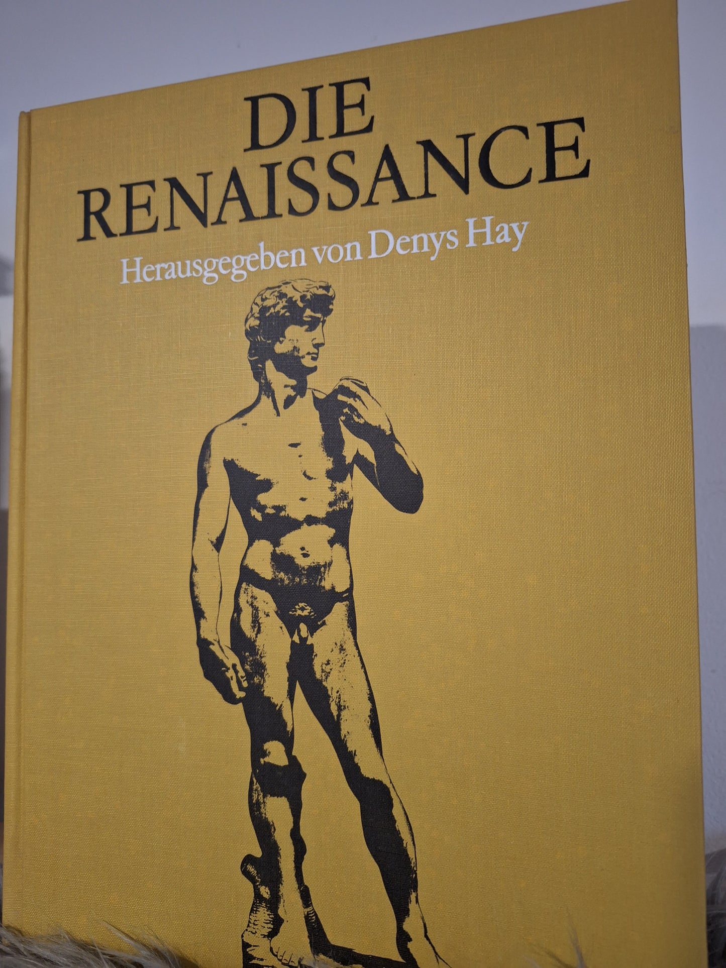 Morgen des Abendlandes, Die Zeit des Barock, Das neunzehnte Jahrhundert, Die Renaissance(Herausgegeben von der Denys Hay), -Das schtzehnte Jahrhundert(Aufklärung,Rokoko und Revolution), -Blüte Des Mittelalters(John Evans).