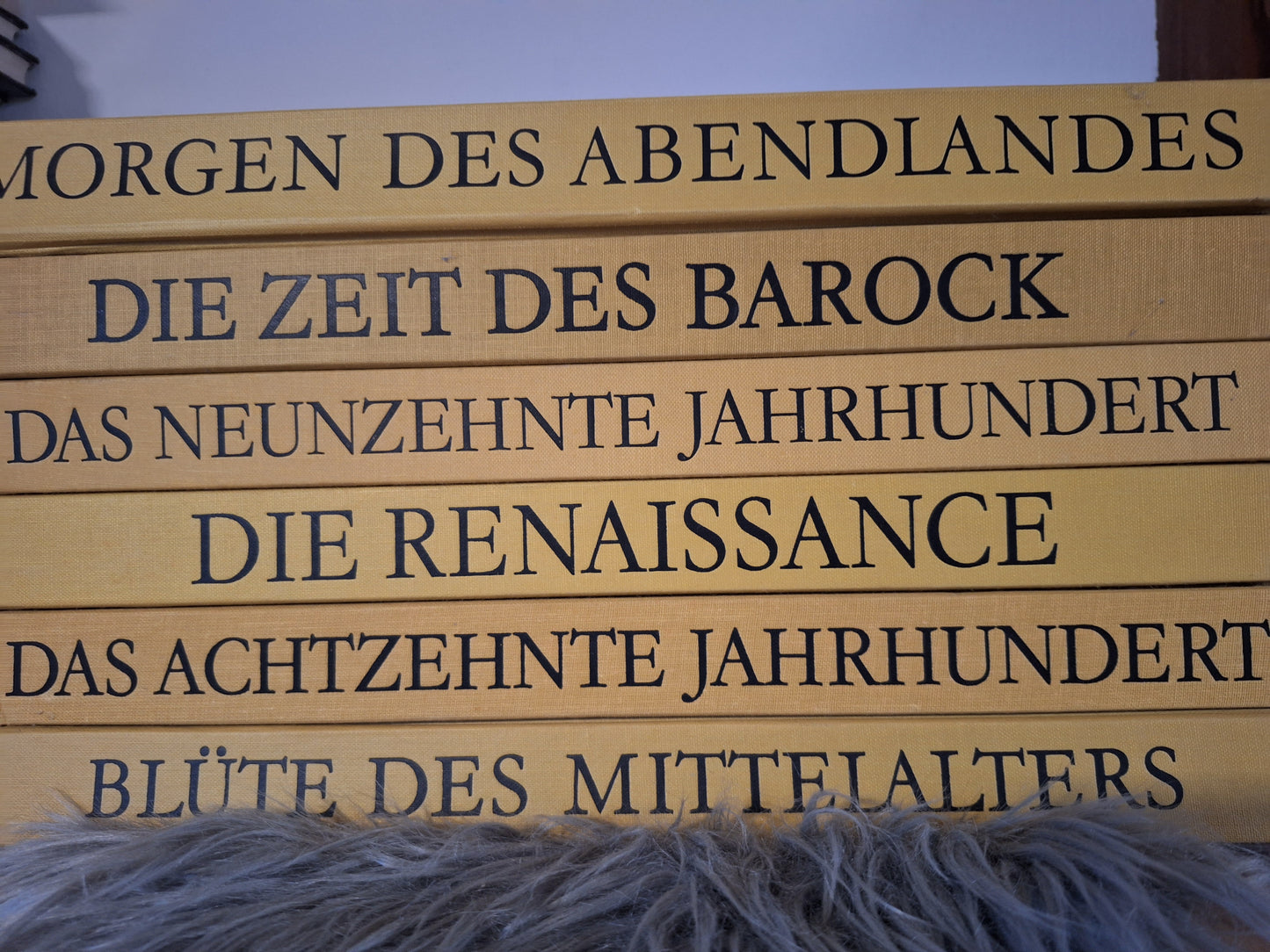 Morgen des Abendlandes, Die Zeit des Barock, Das neunzehnte Jahrhundert, Die Renaissance(Herausgegeben von der Denys Hay), -Das schtzehnte Jahrhundert(Aufklärung,Rokoko und Revolution), -Blüte Des Mittelalters(John Evans).