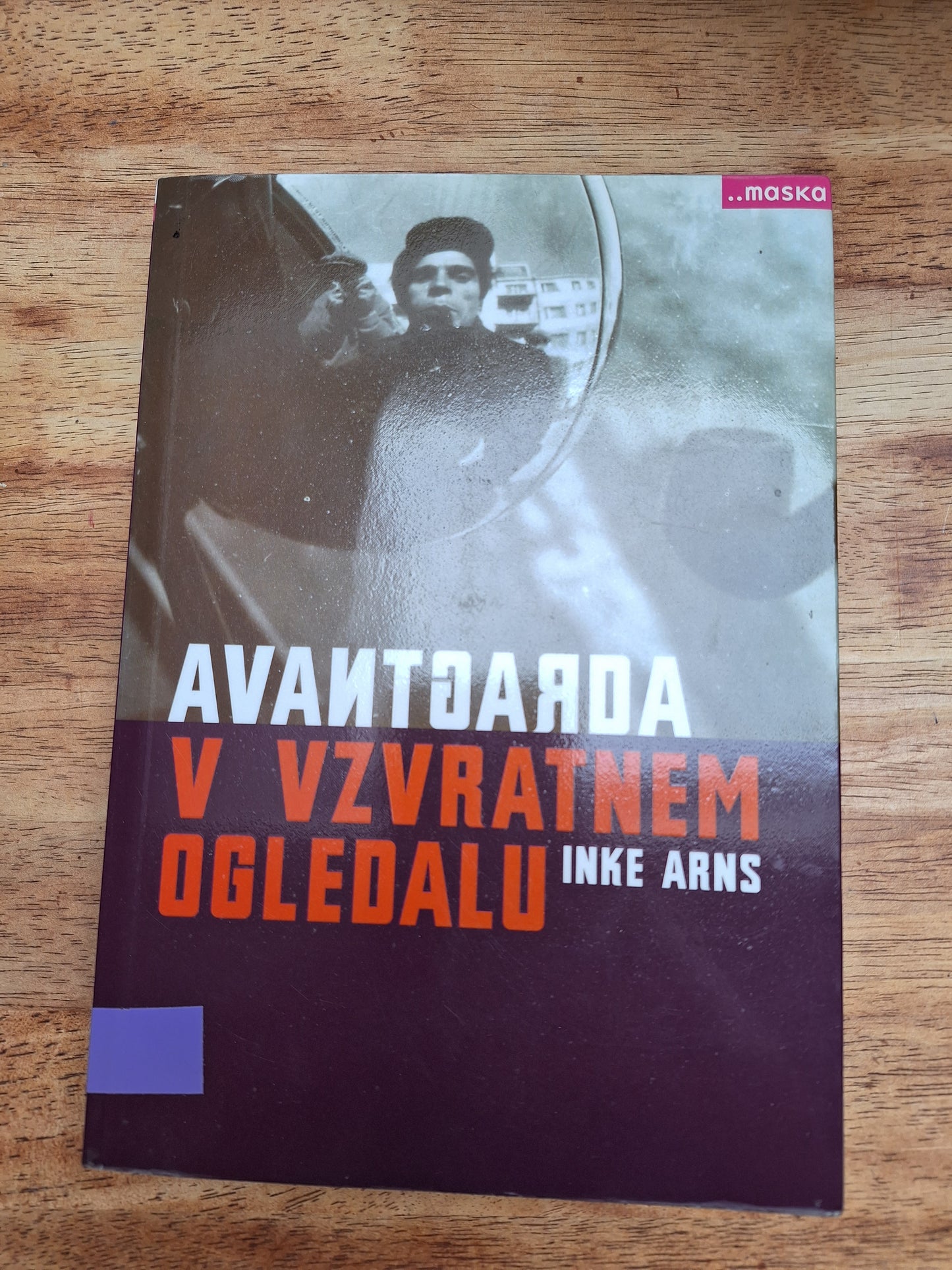 Avantgarda v vzvratnem ogledalu Inke Arns